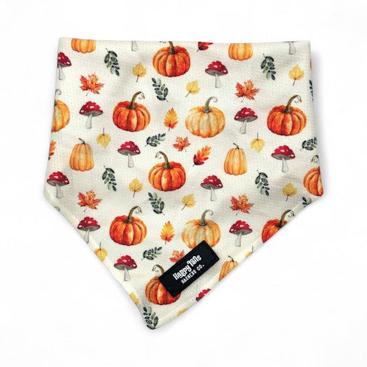 Pumpkin Patch Bandana