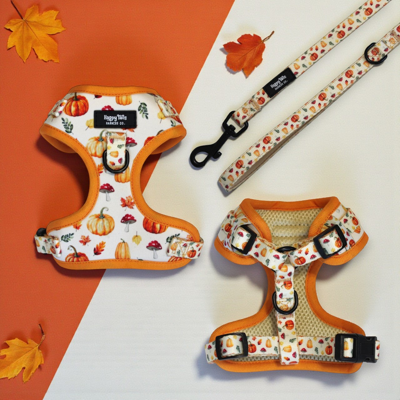 Pumpkin Patch Harness + Leash Set