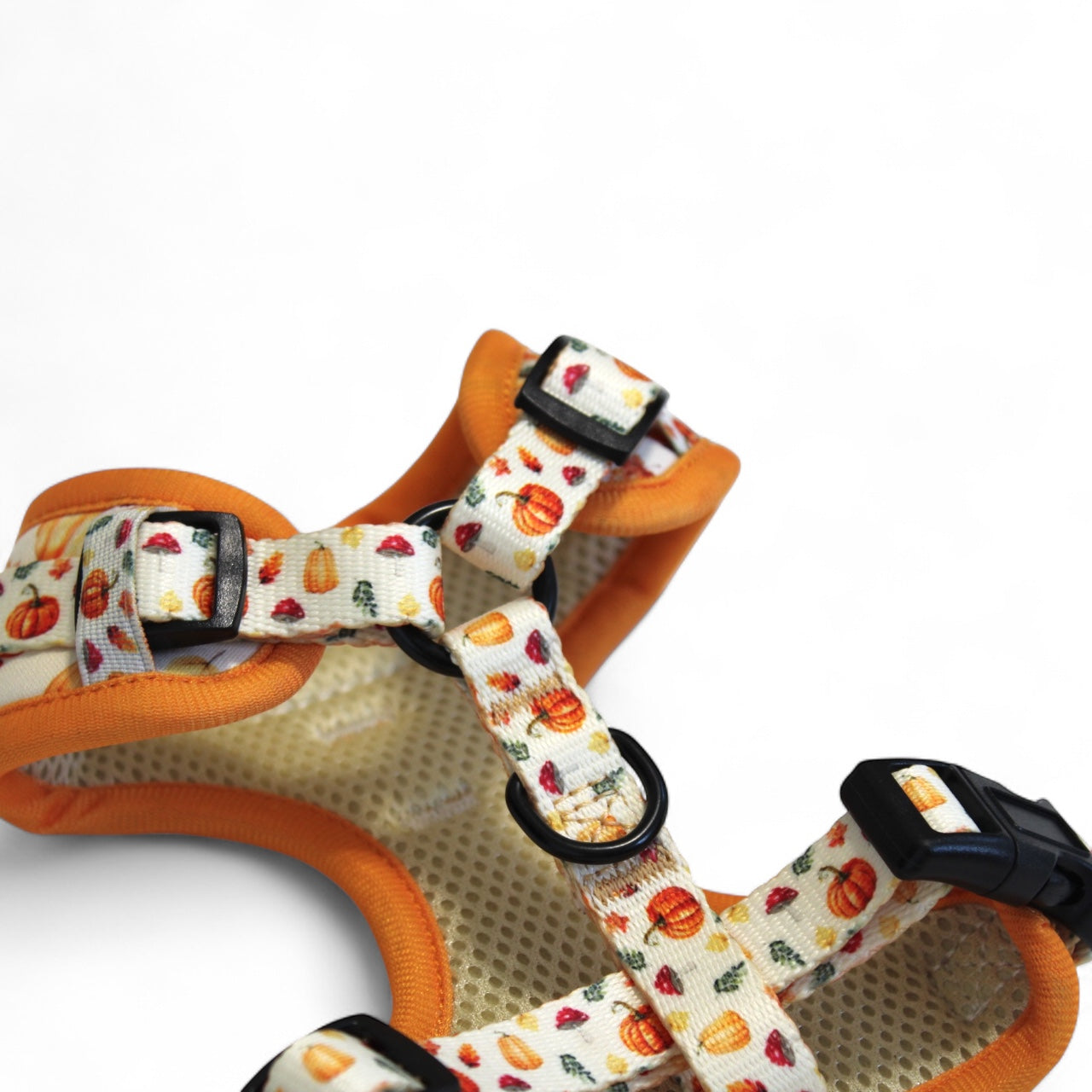 Pumpkin Patch Adjustable Harness