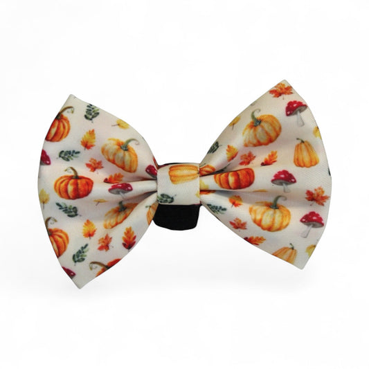 Pumpkin Patch Bow Tie