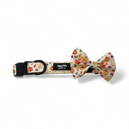Pumpkin Patch Collar