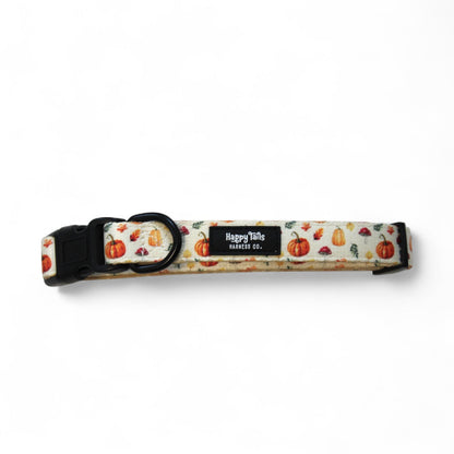 Pumpkin Patch Collar