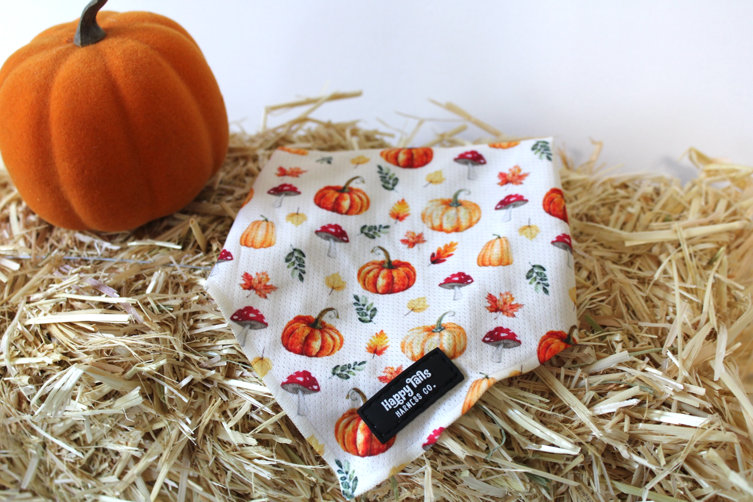 Pumpkin Patch Bandana