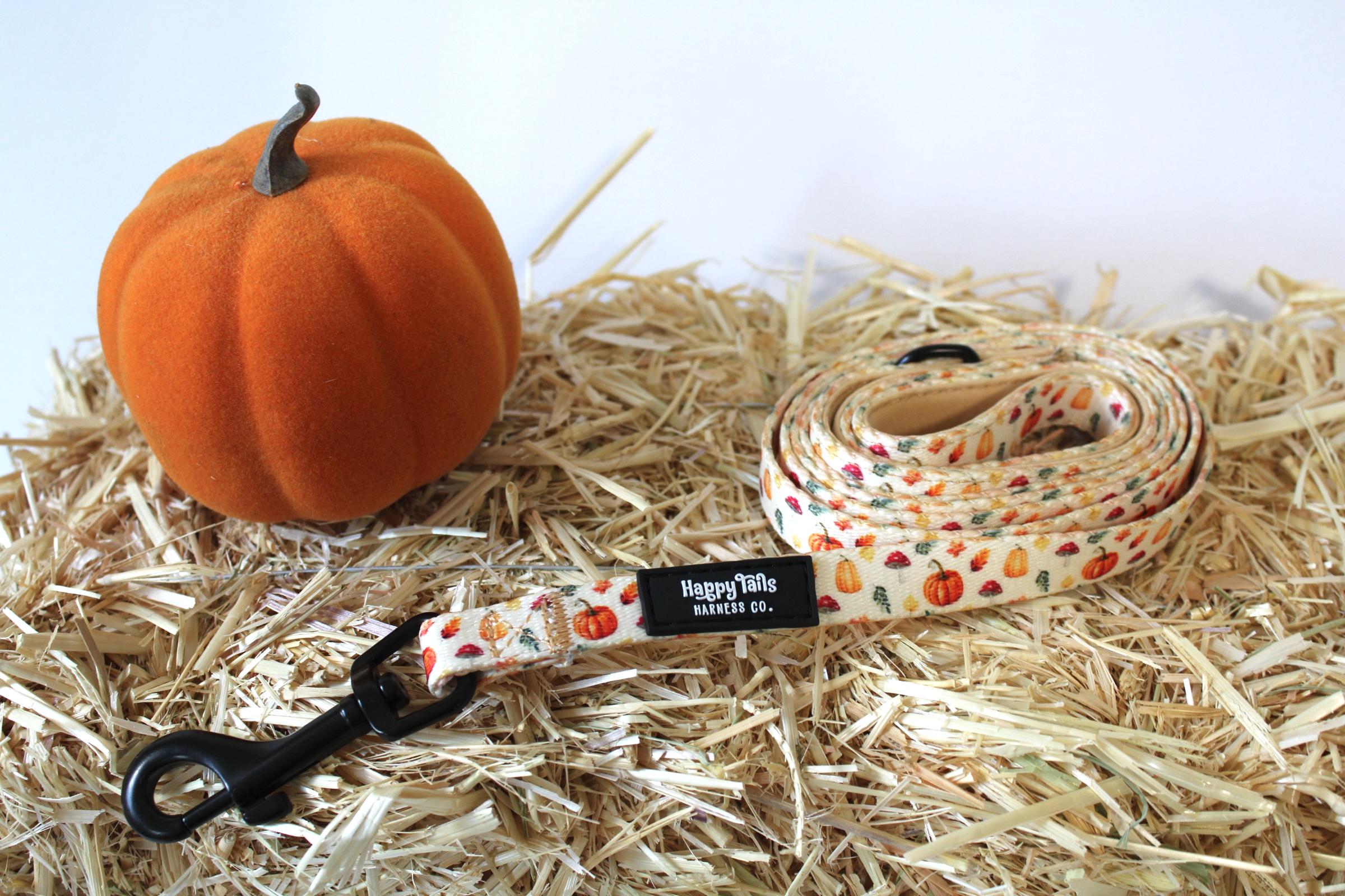 Pumpkin Patch Leash