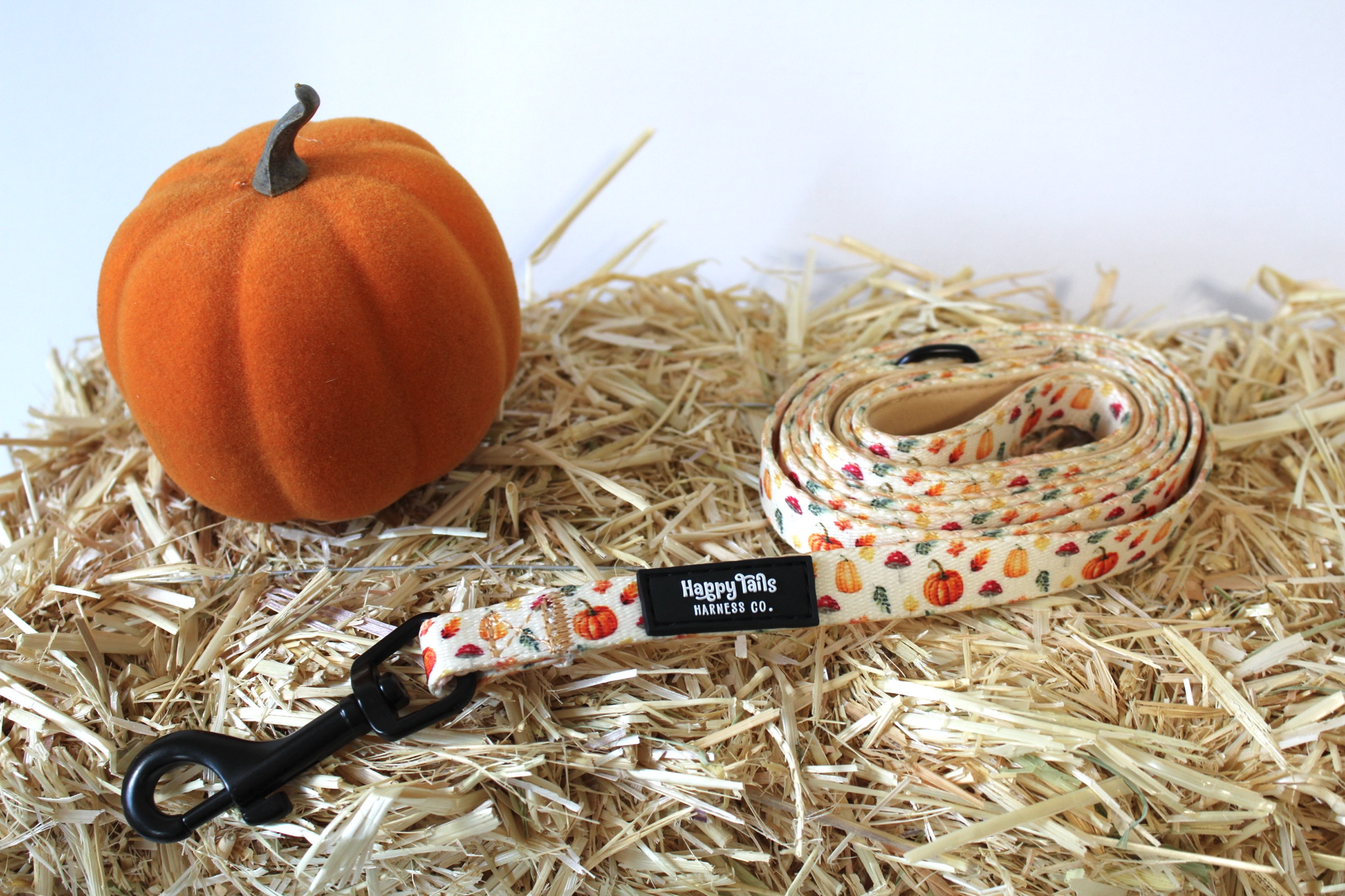 Pumpkin Patch Leash