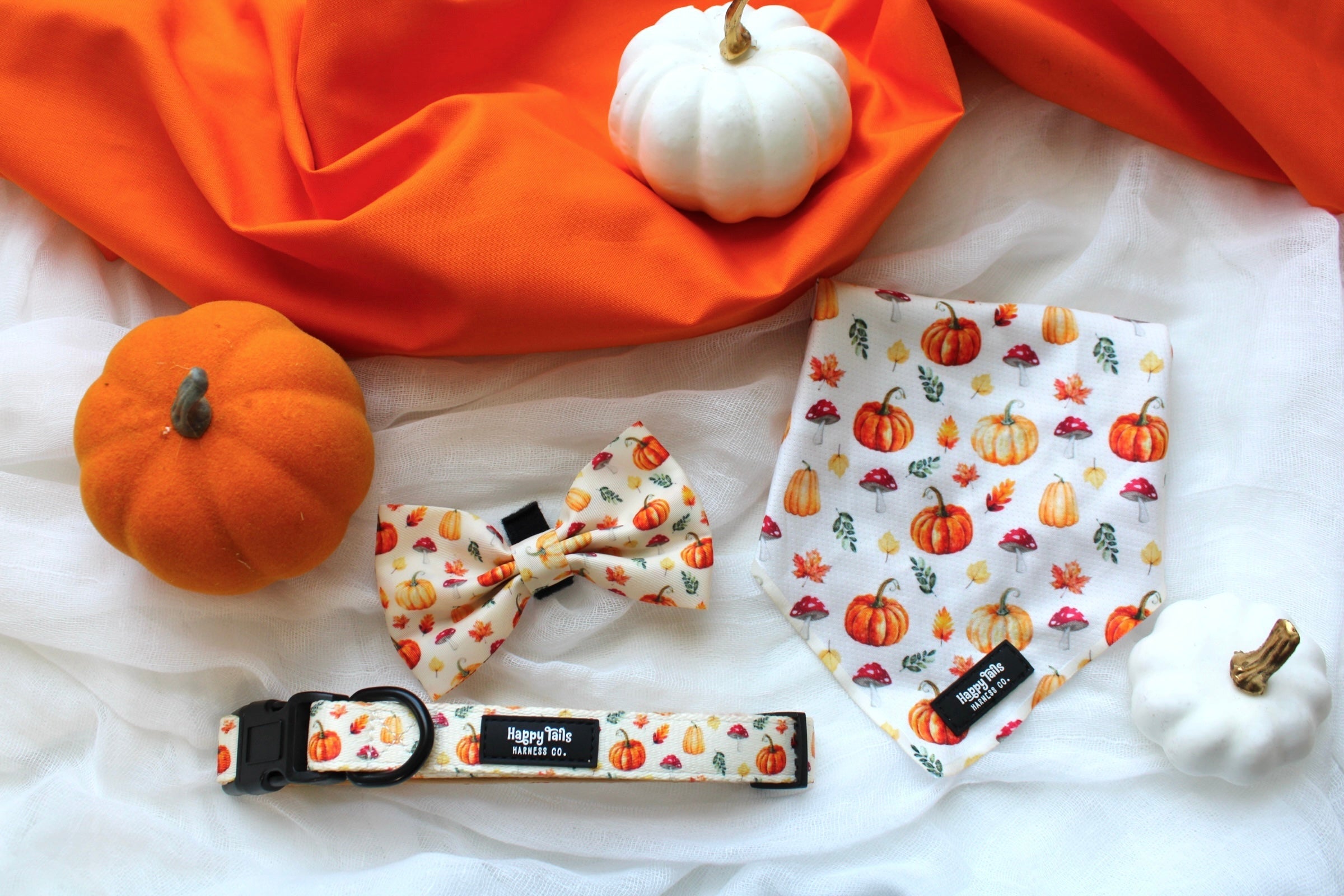Pumpkin Patch Collar