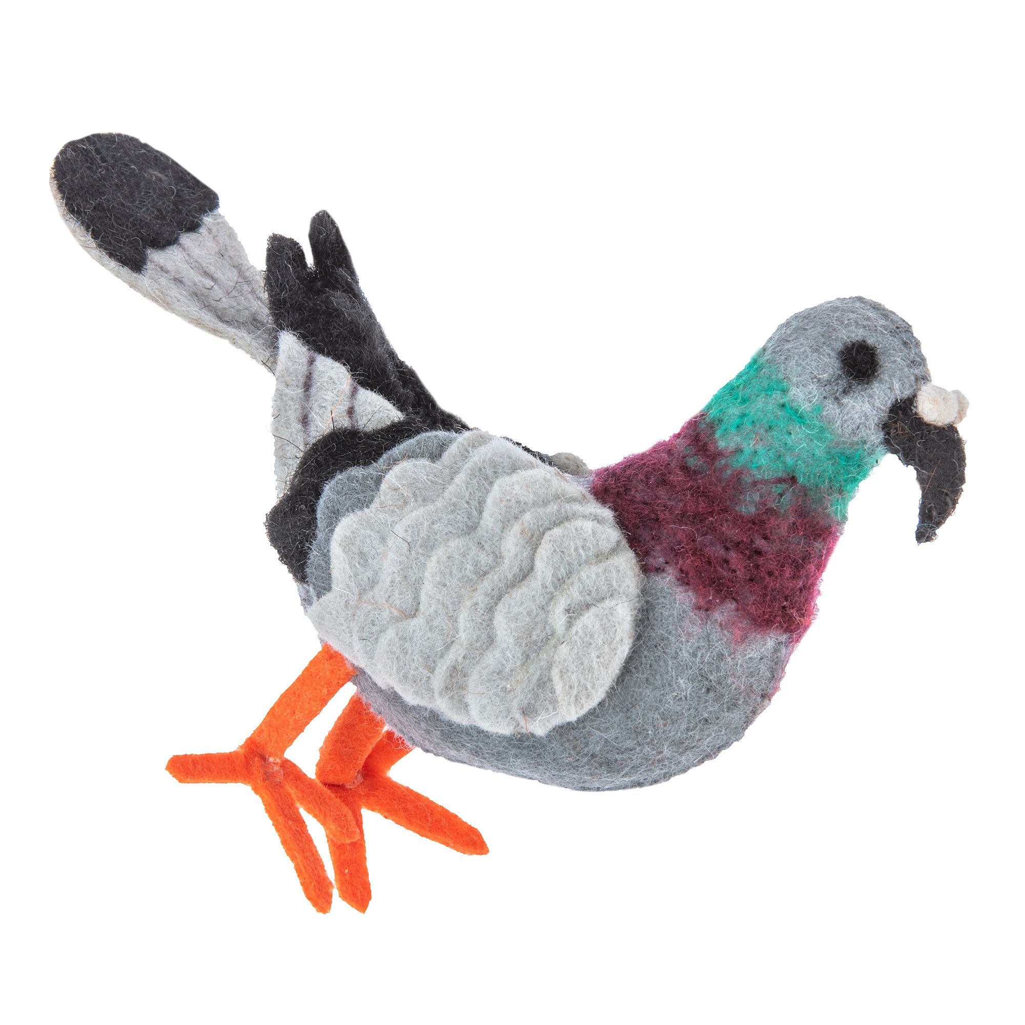 Pigeon