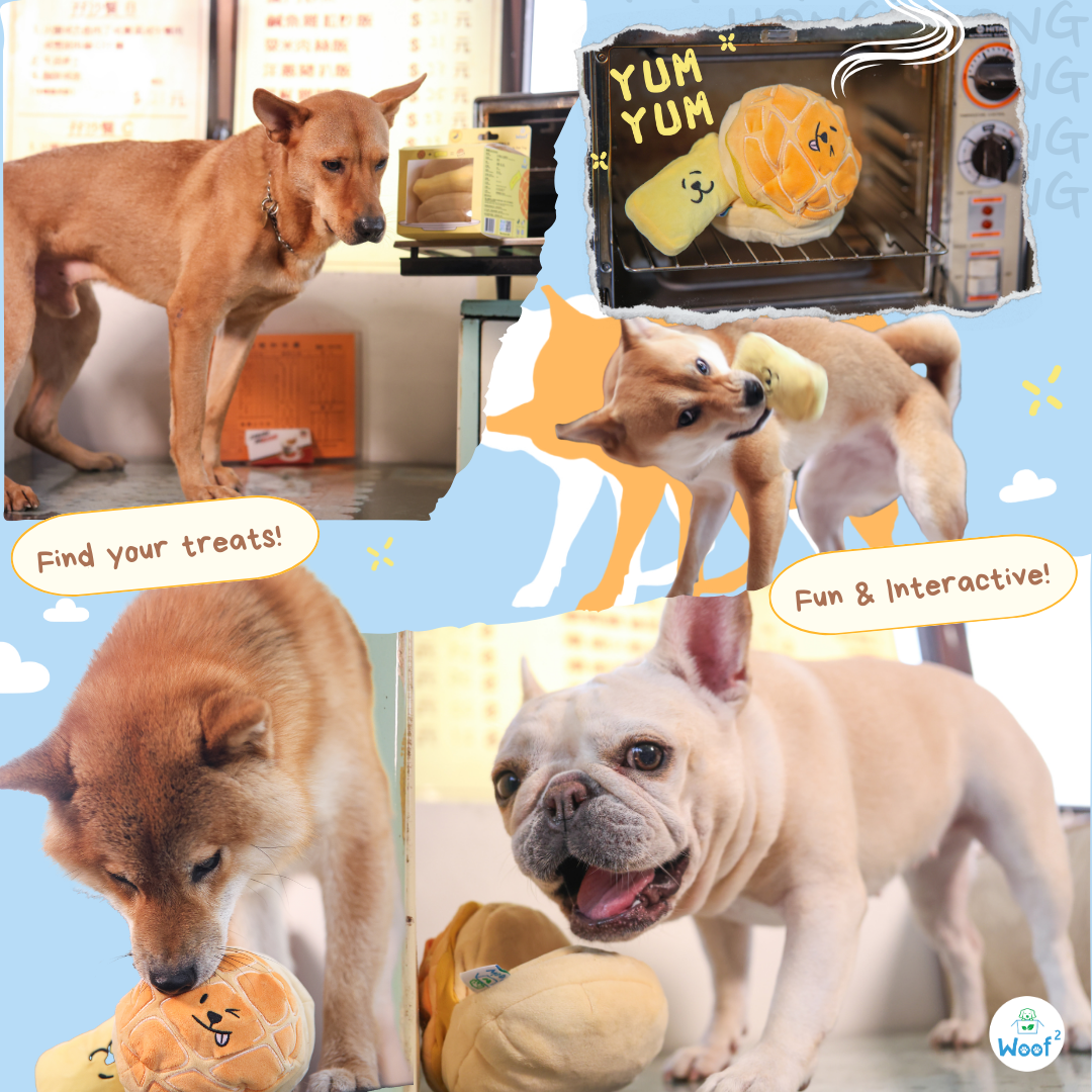 Woof² Buttered Pineapple Bun 2-in-1 Pet Toy