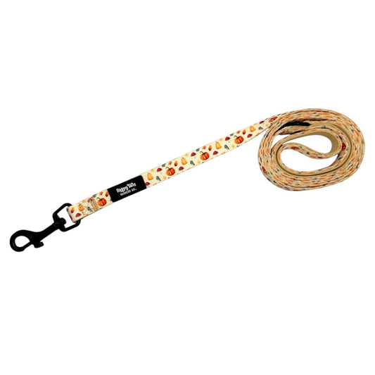 Pumpkin Patch Leash