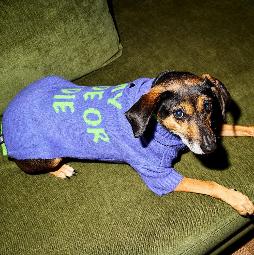 Ride or Die Sweater.