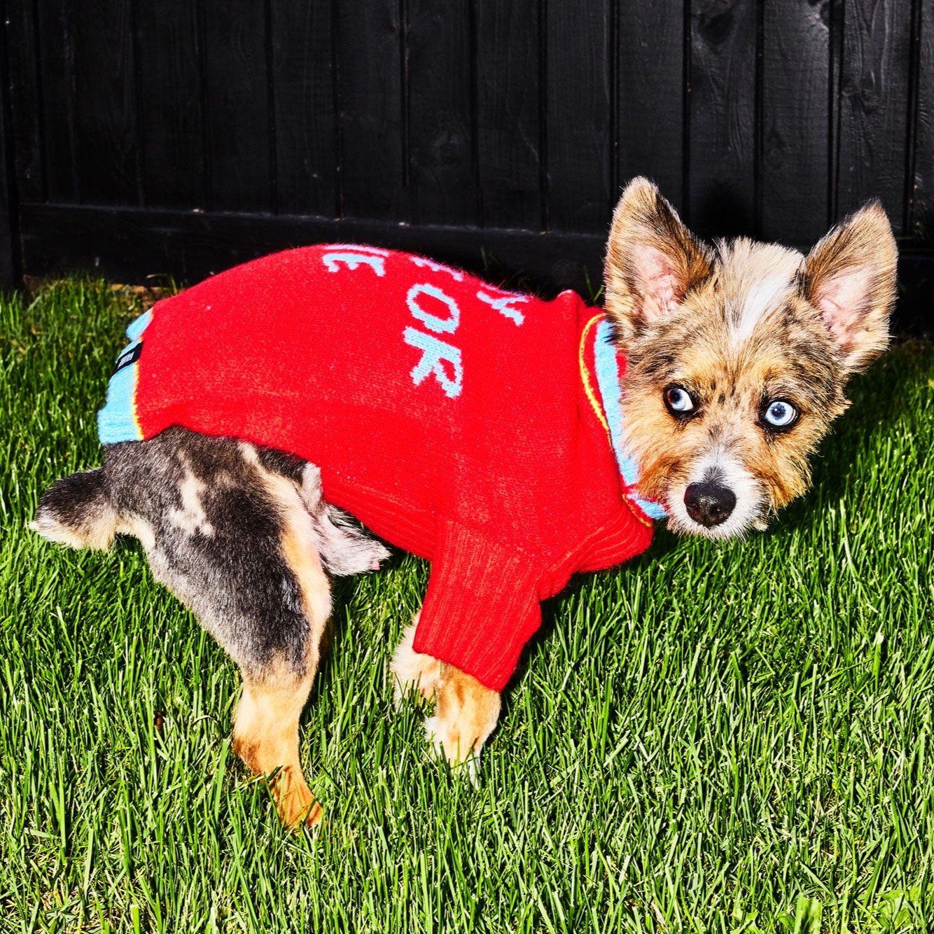 Ride or Die Sweater.