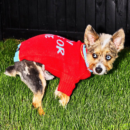 Ride or Die Sweater.