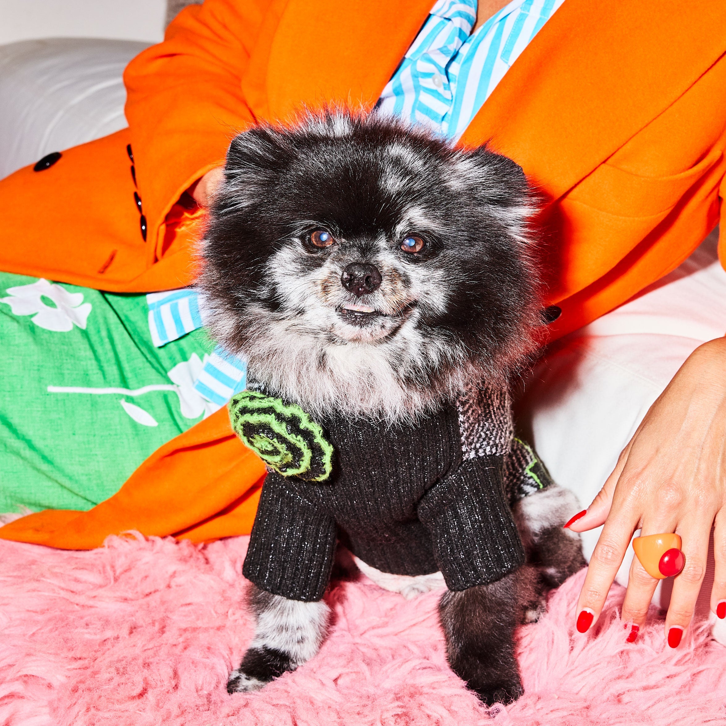 Rizz Sweater