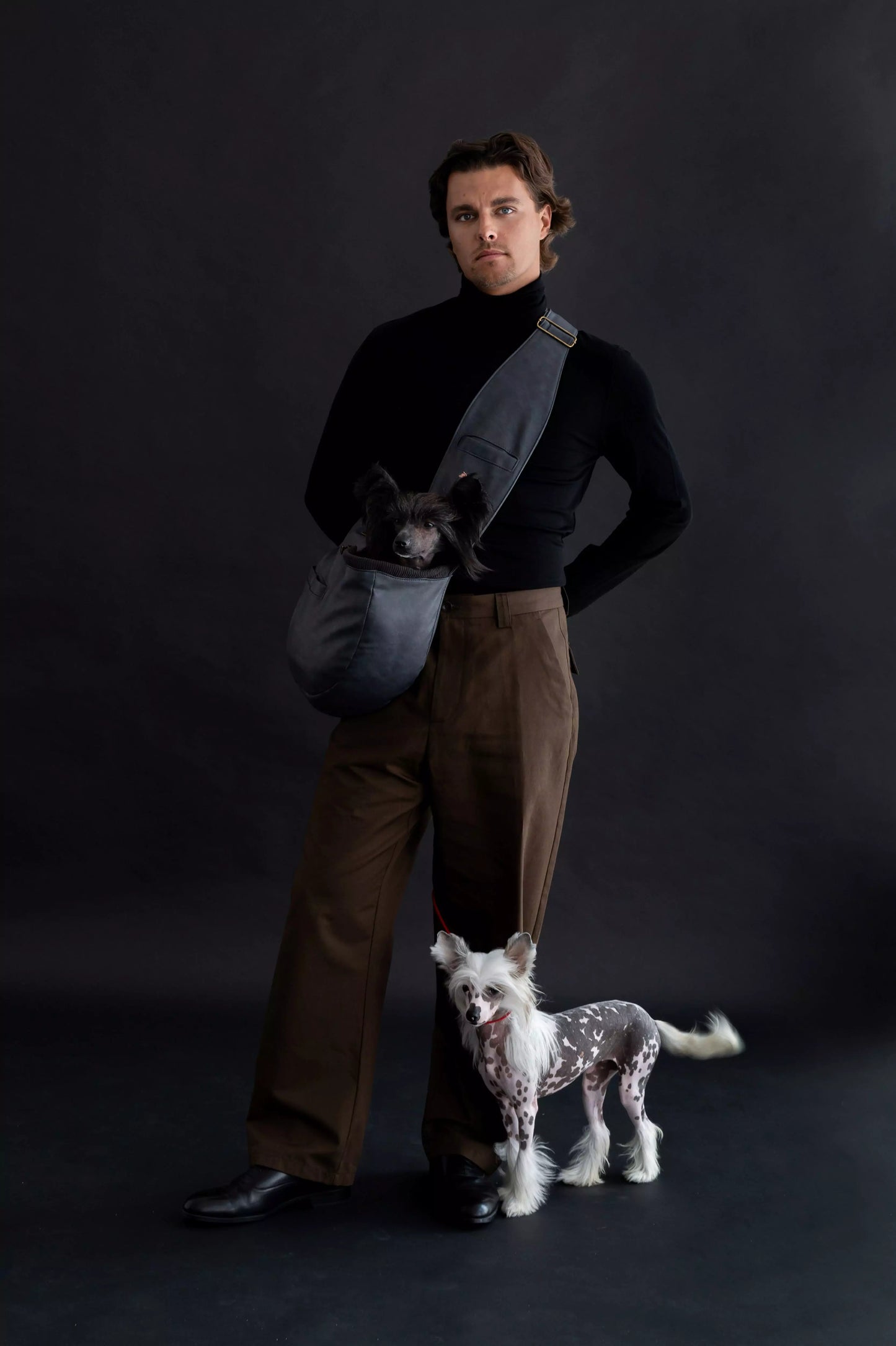 Vegan Leather Pet sling Carrier 3x Safety