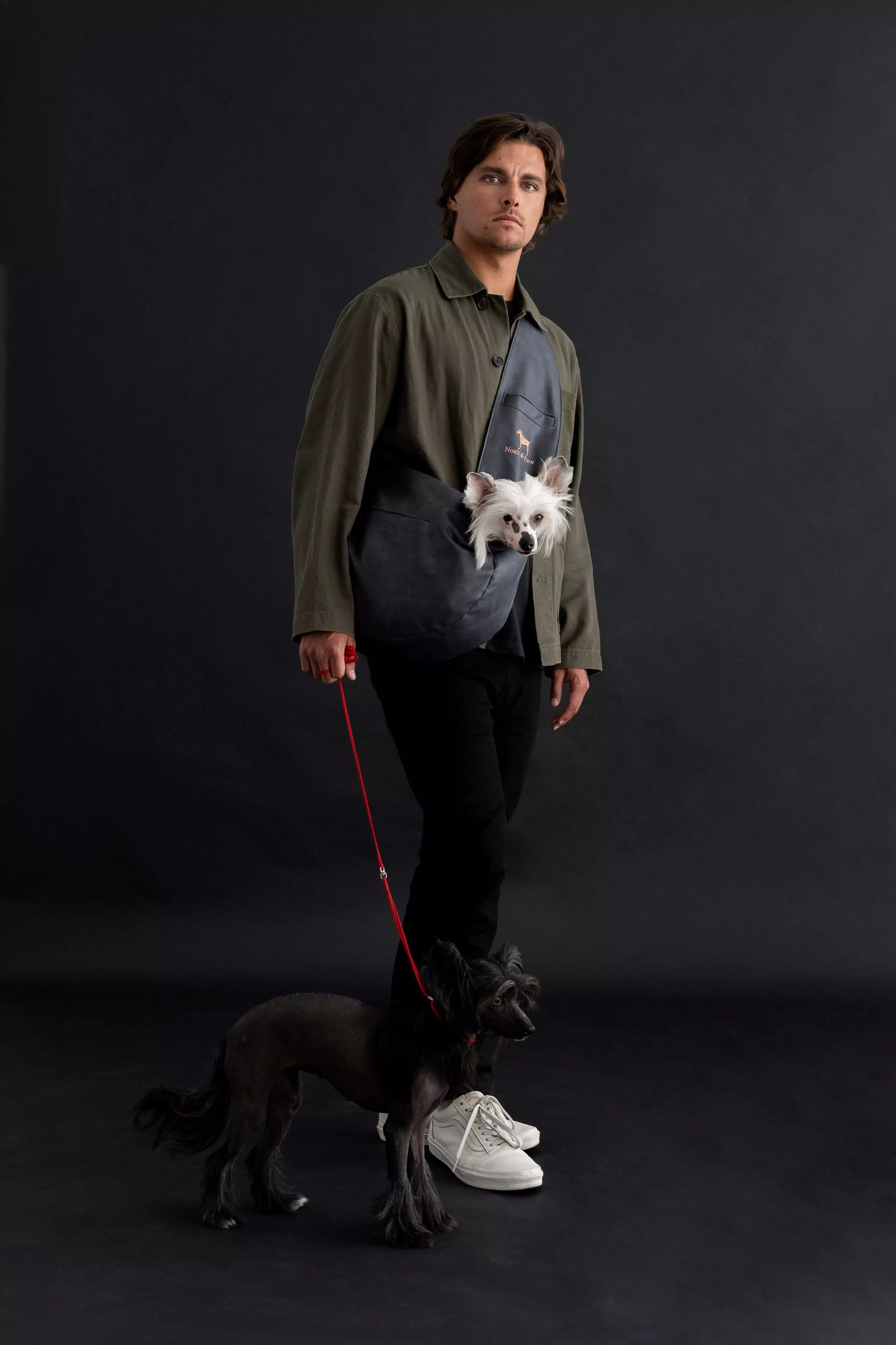 Vegan Leather Pet sling Carrier 3x Safety