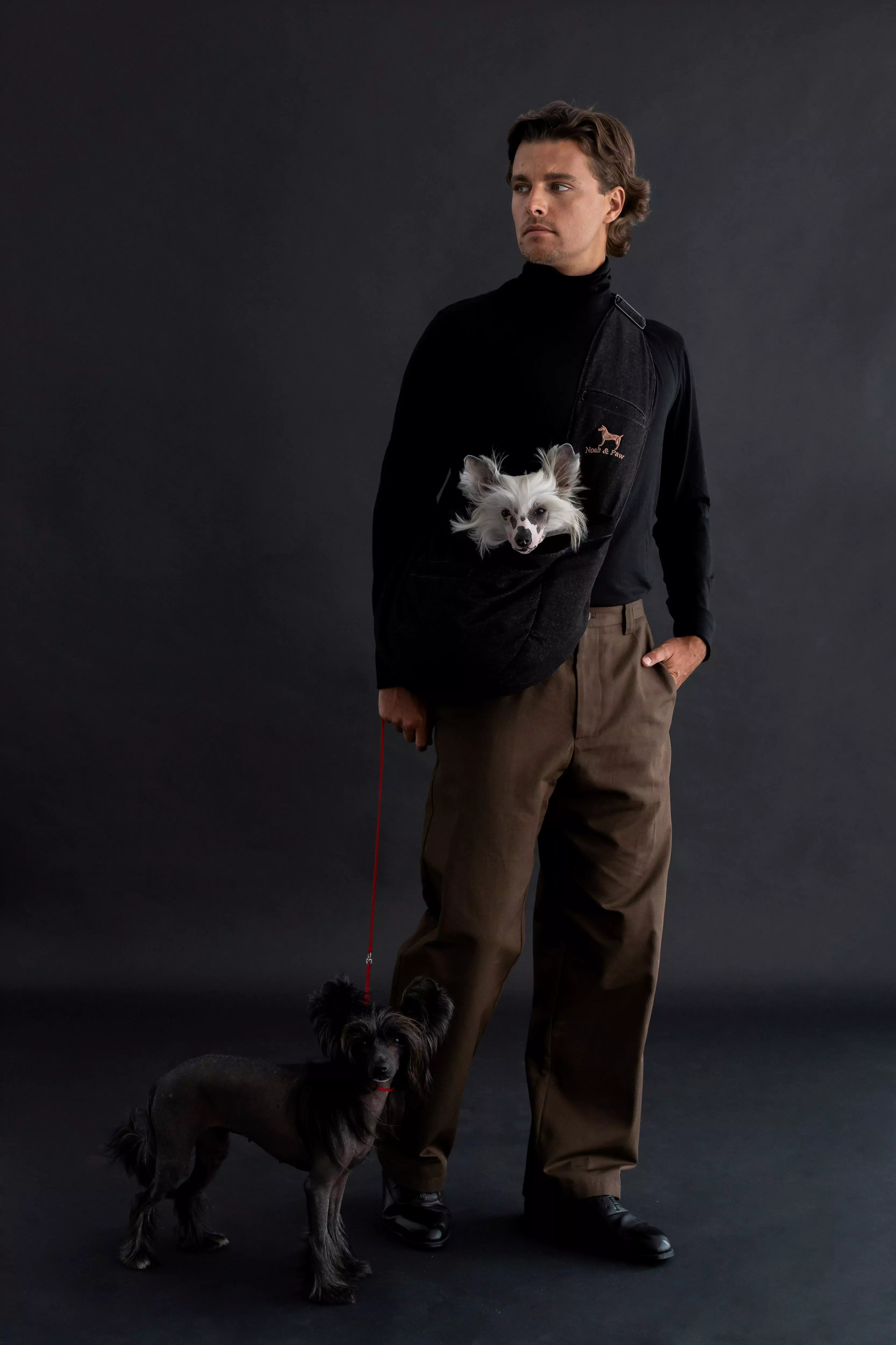 Premium Denim Pet sling Carrier 3x Safety