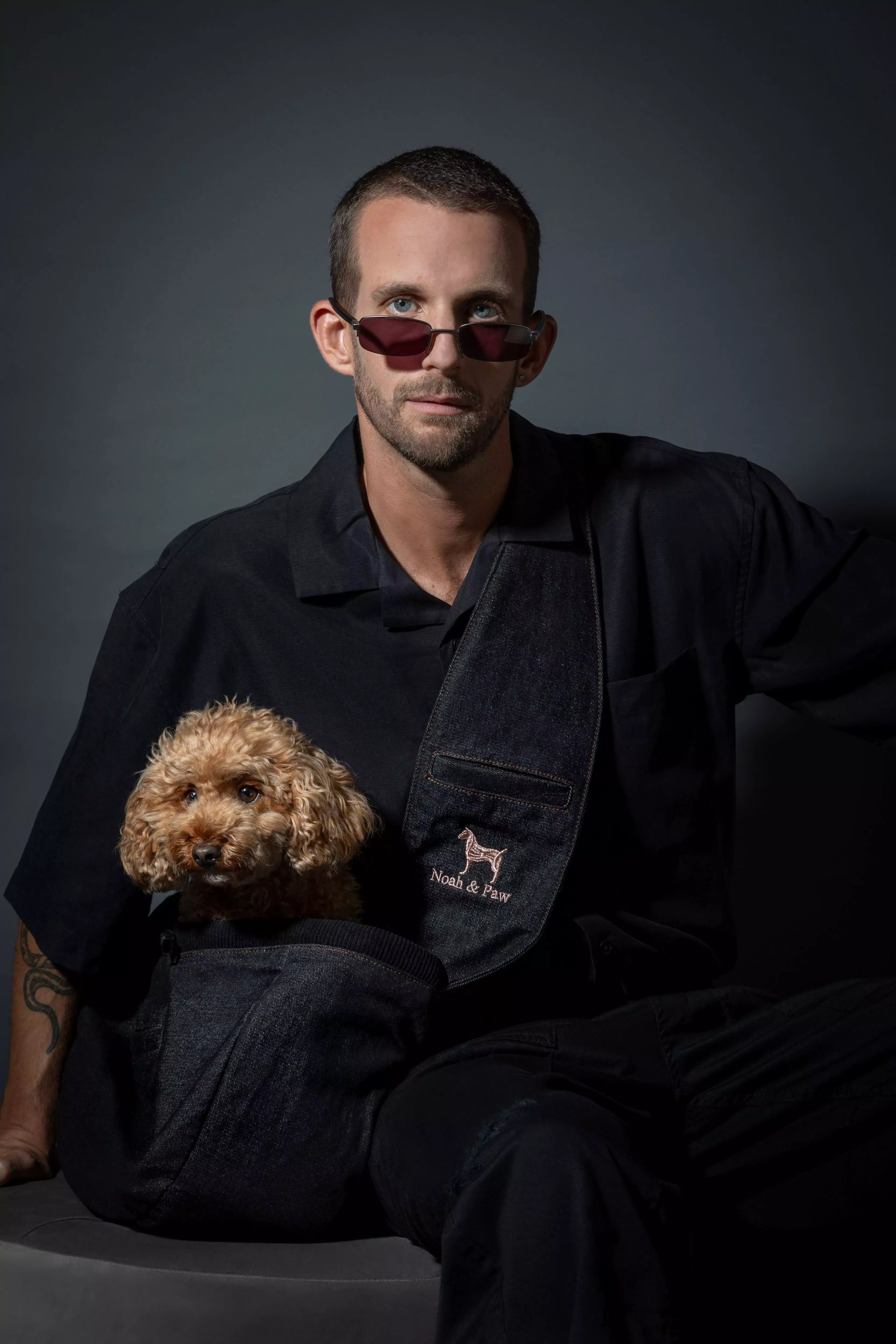 Premium Denim Pet sling Carrier 3x Safety