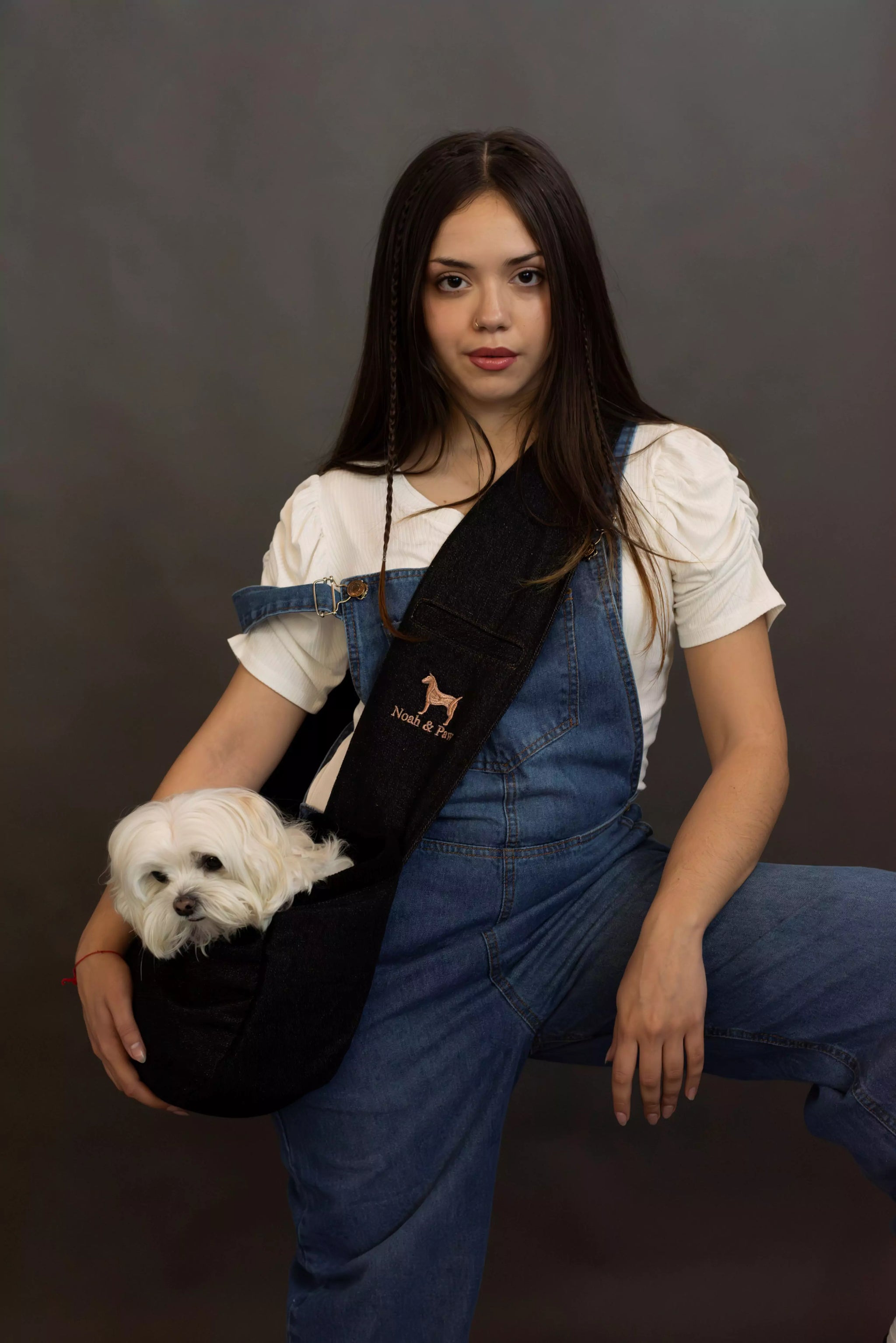 Premium Denim Pet sling Carrier 3x Safety