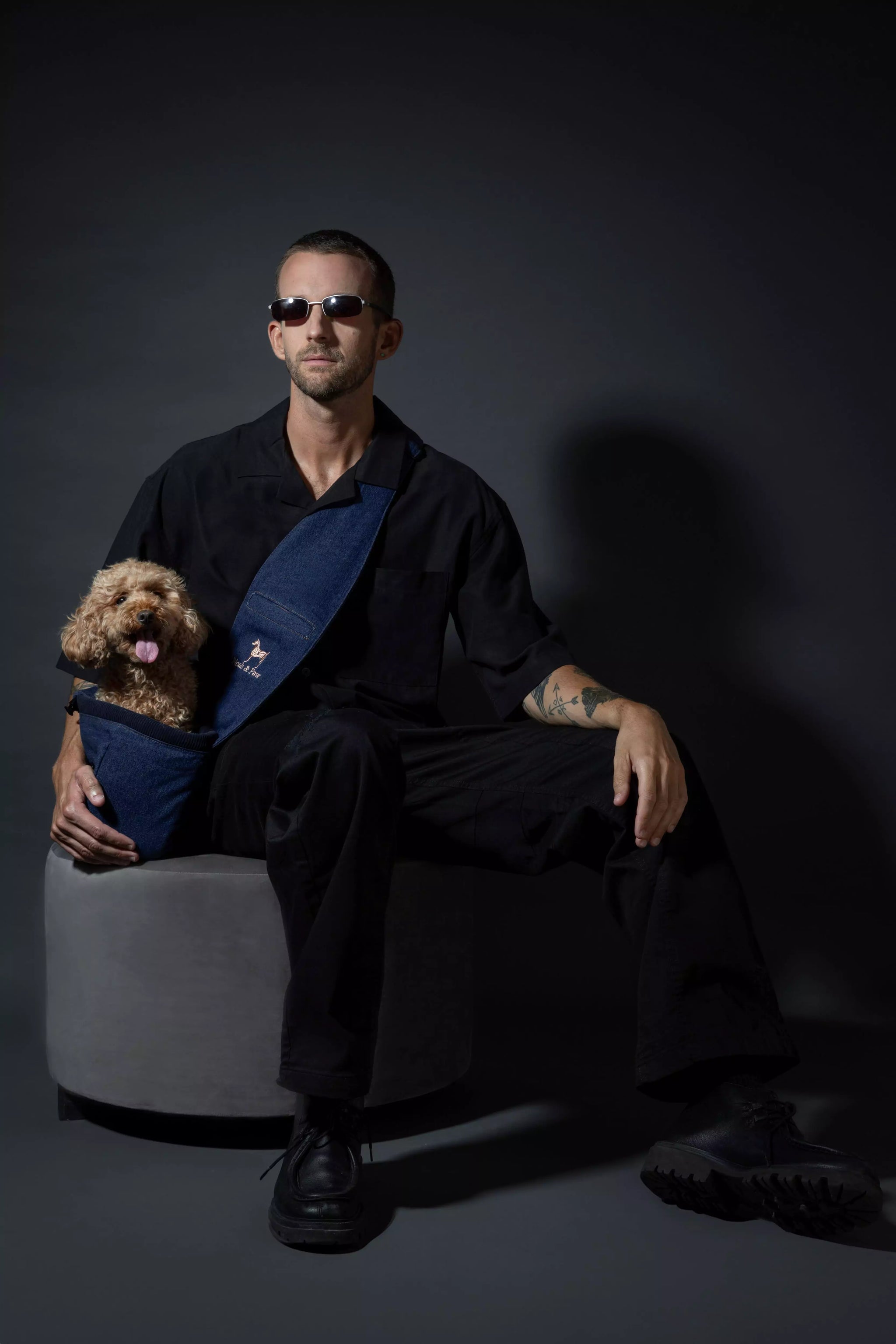 Premium Denim Pet sling Carrier 3x Safety