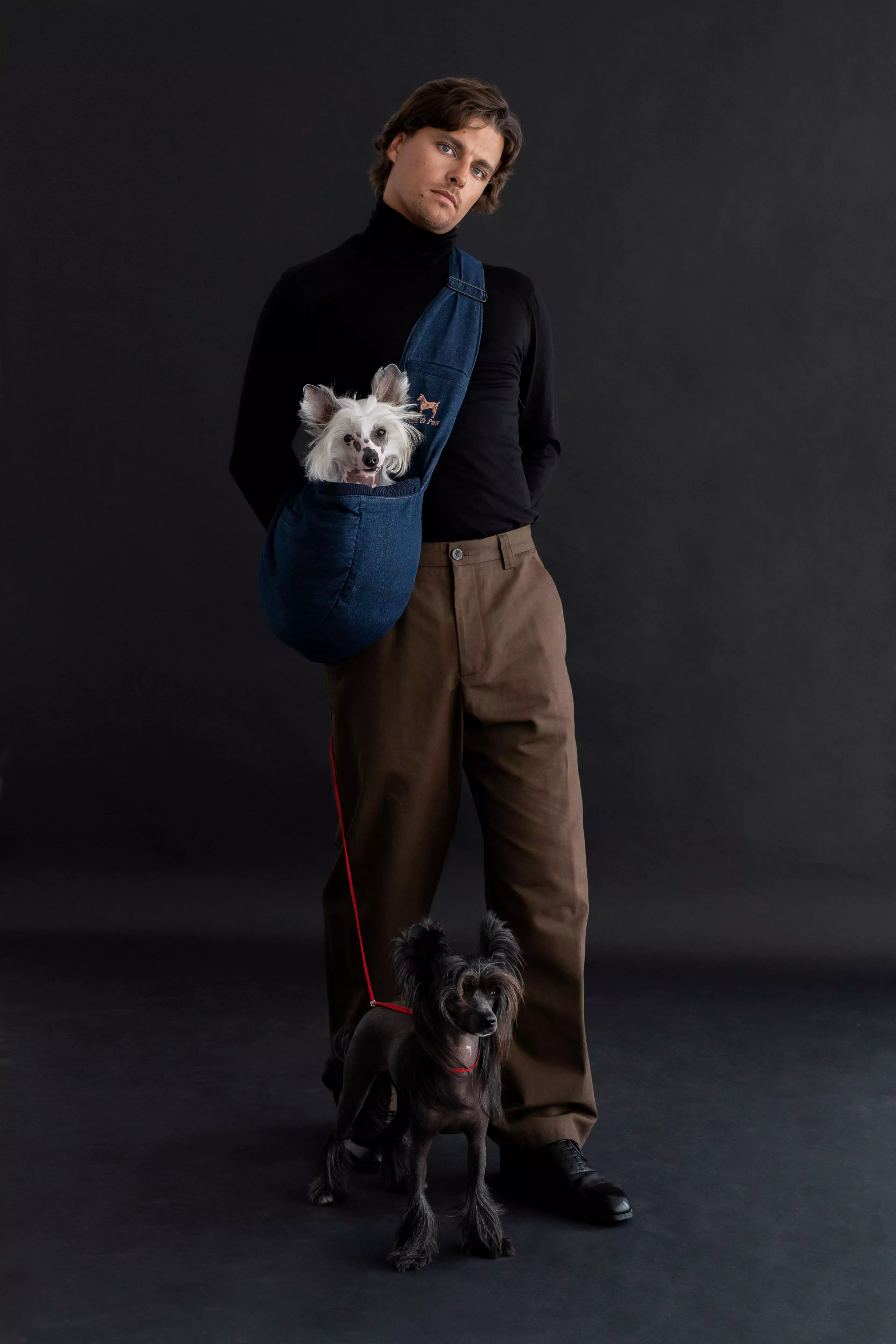 Premium Denim Pet sling Carrier 3x Safety