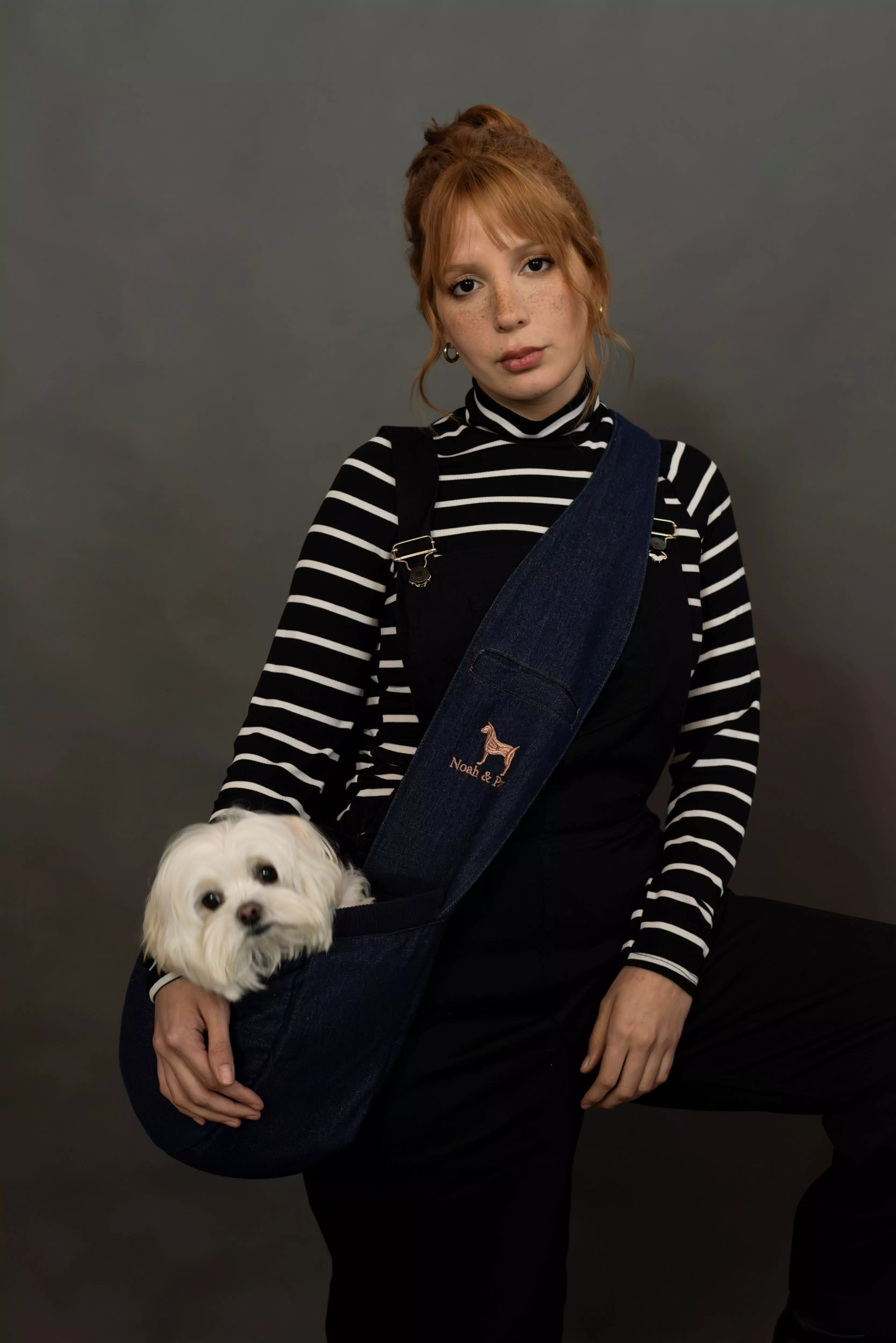 Premium Denim Pet sling Carrier 3x Safety