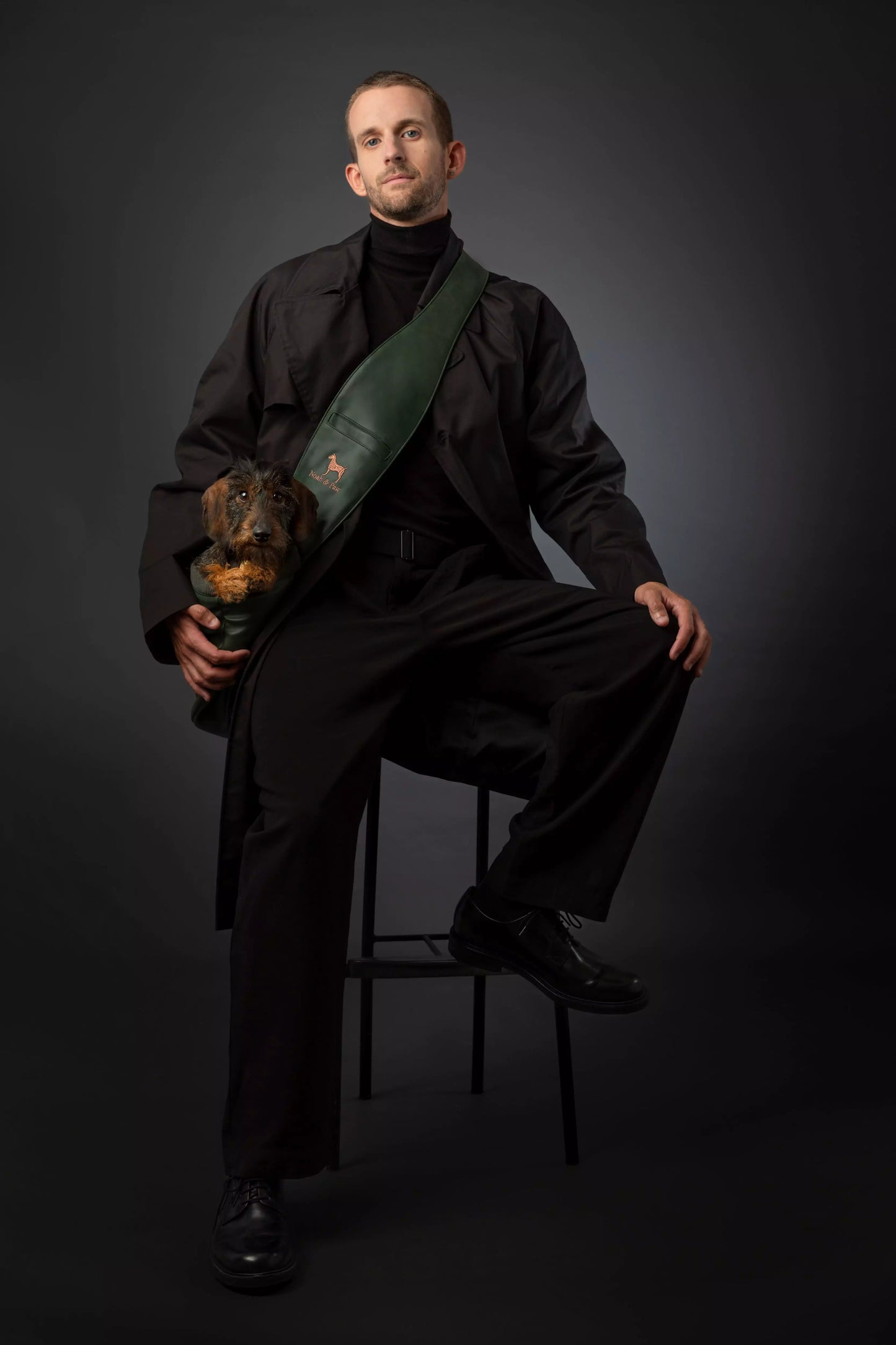 Vegan Leather Pet sling Carrier 3x Safety