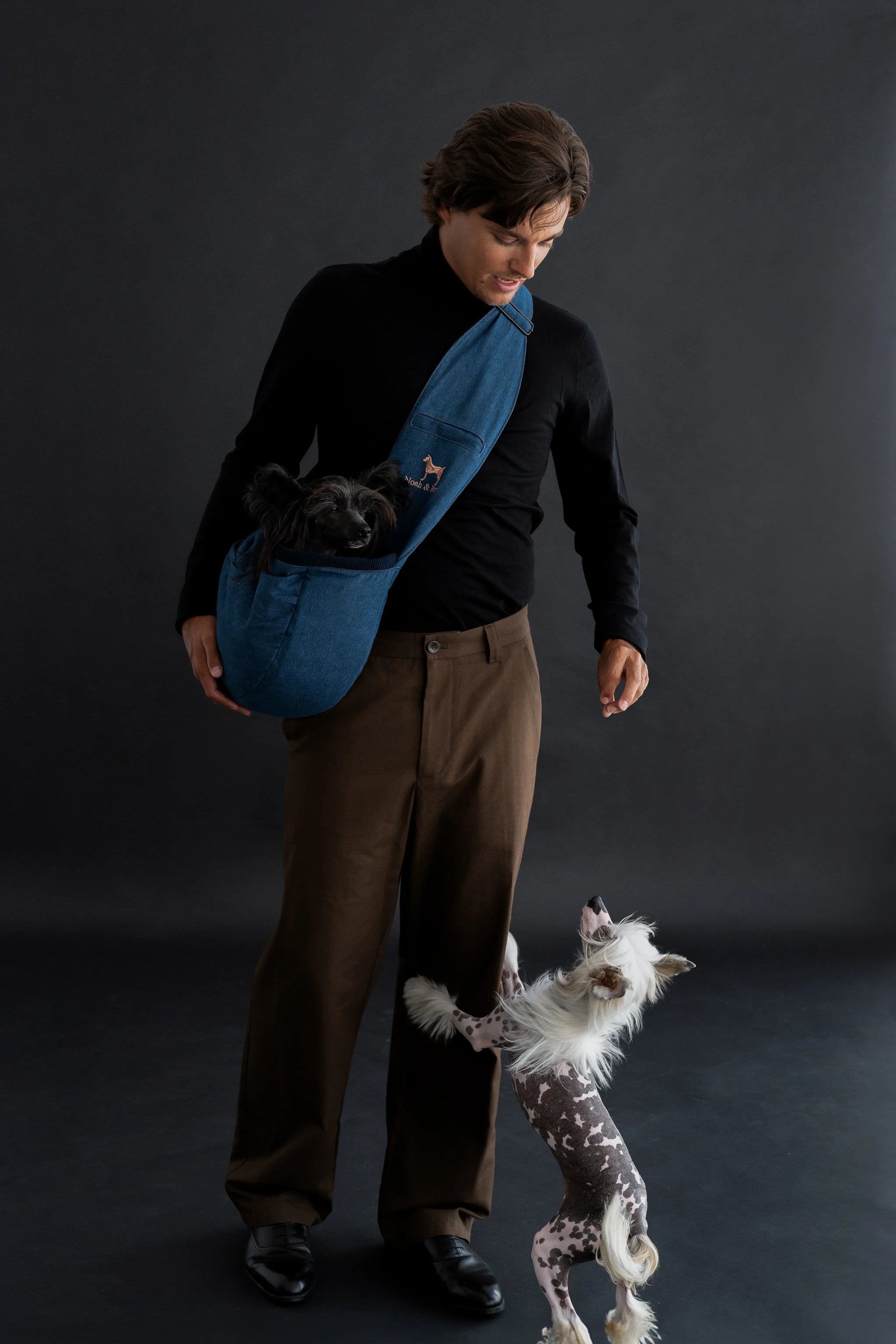 Premium Denim Pet sling Carrier 3x Safety