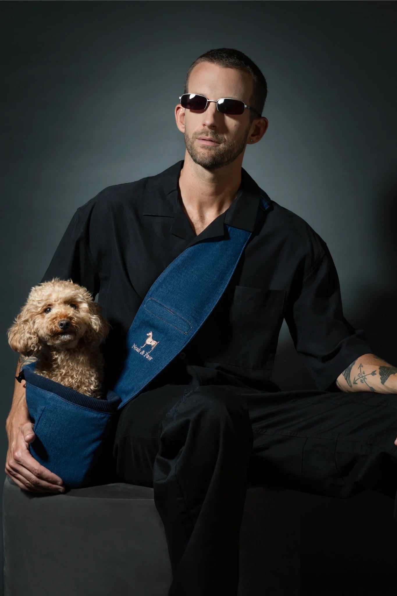 Premium Denim Pet sling Carrier 3x Safety