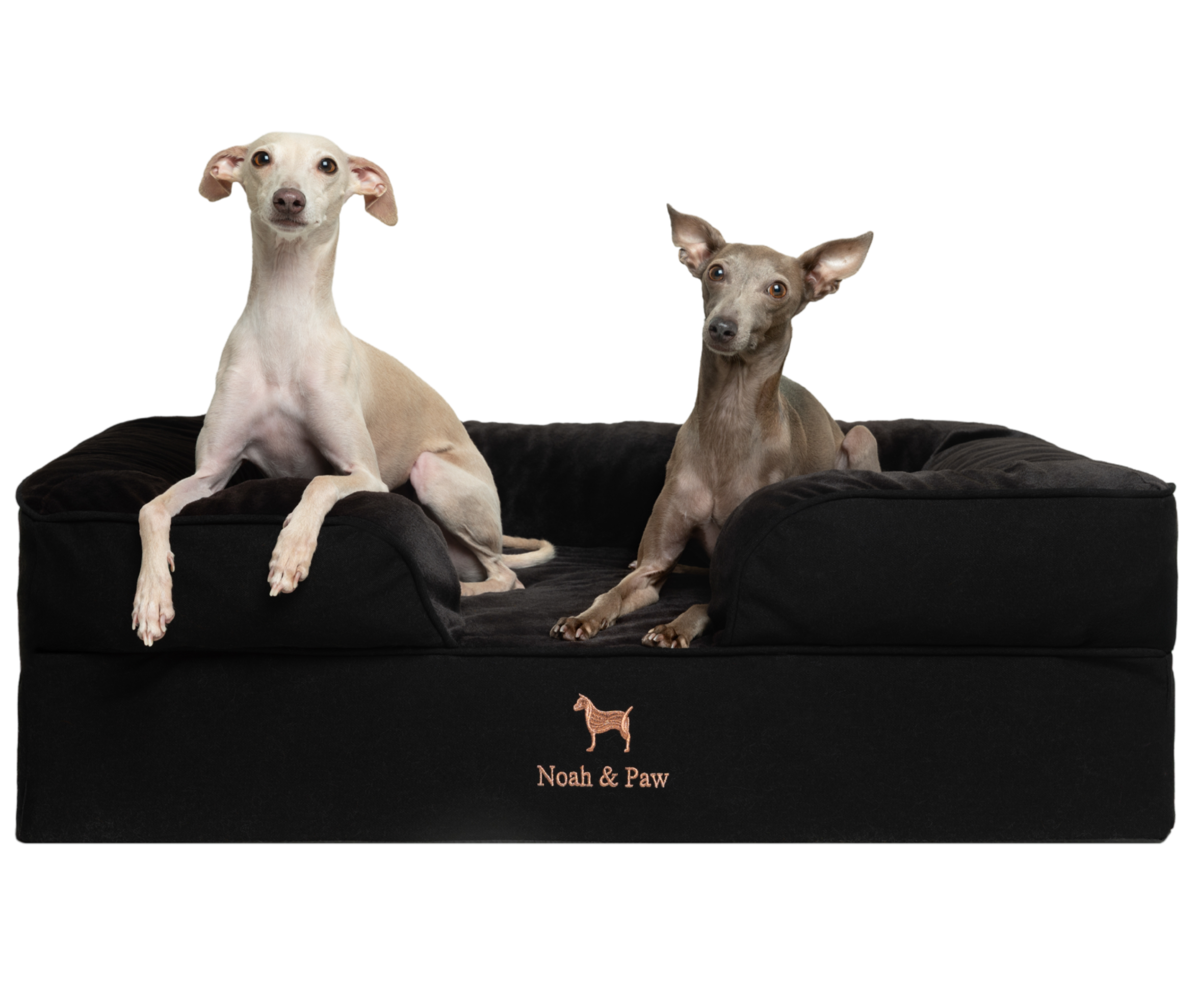 Denim, Orthopedic Pet Bed, Sofa Style - Black - L