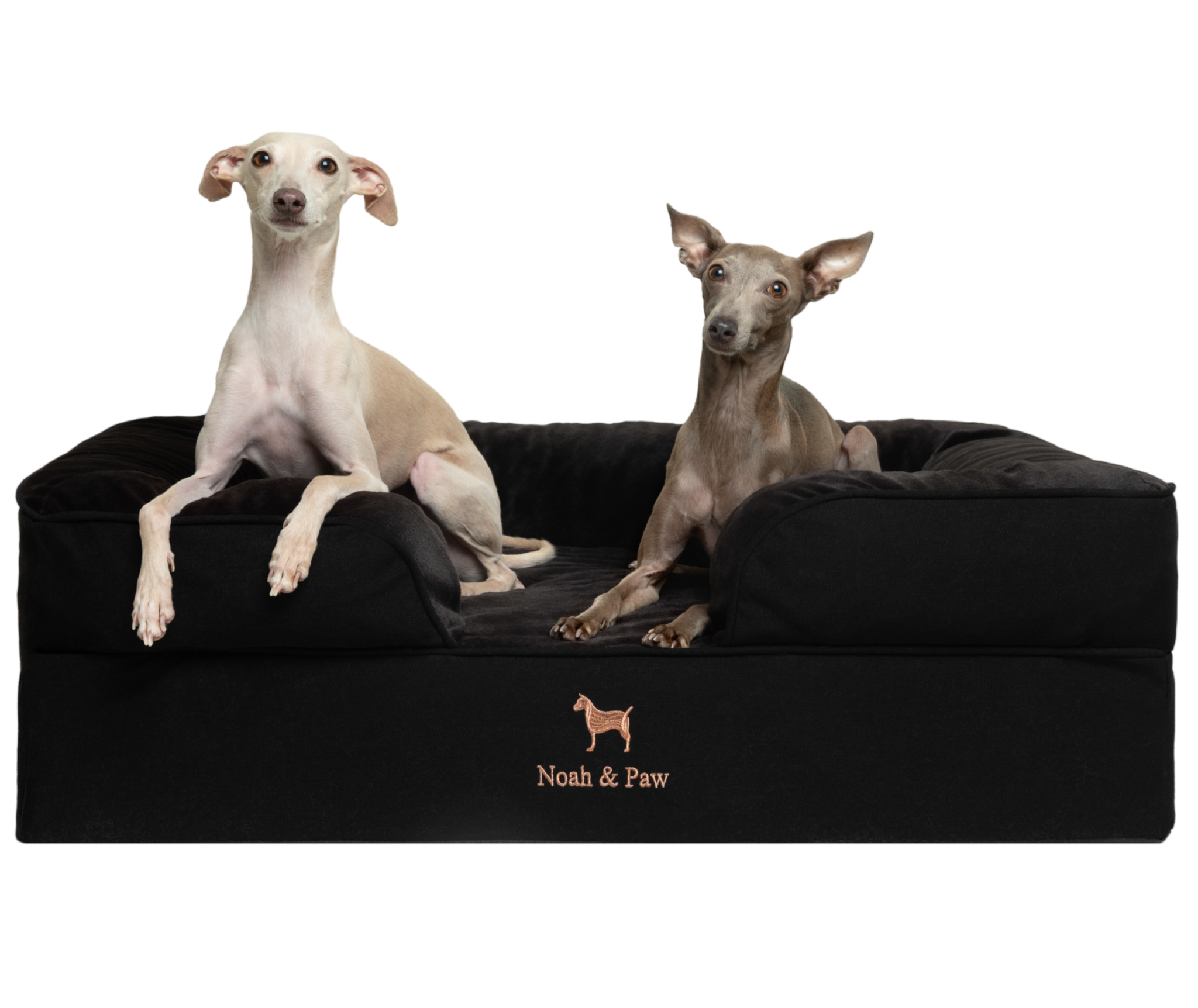 Denim, Orthopedic Pet Bed, Sofa Style - Black - L