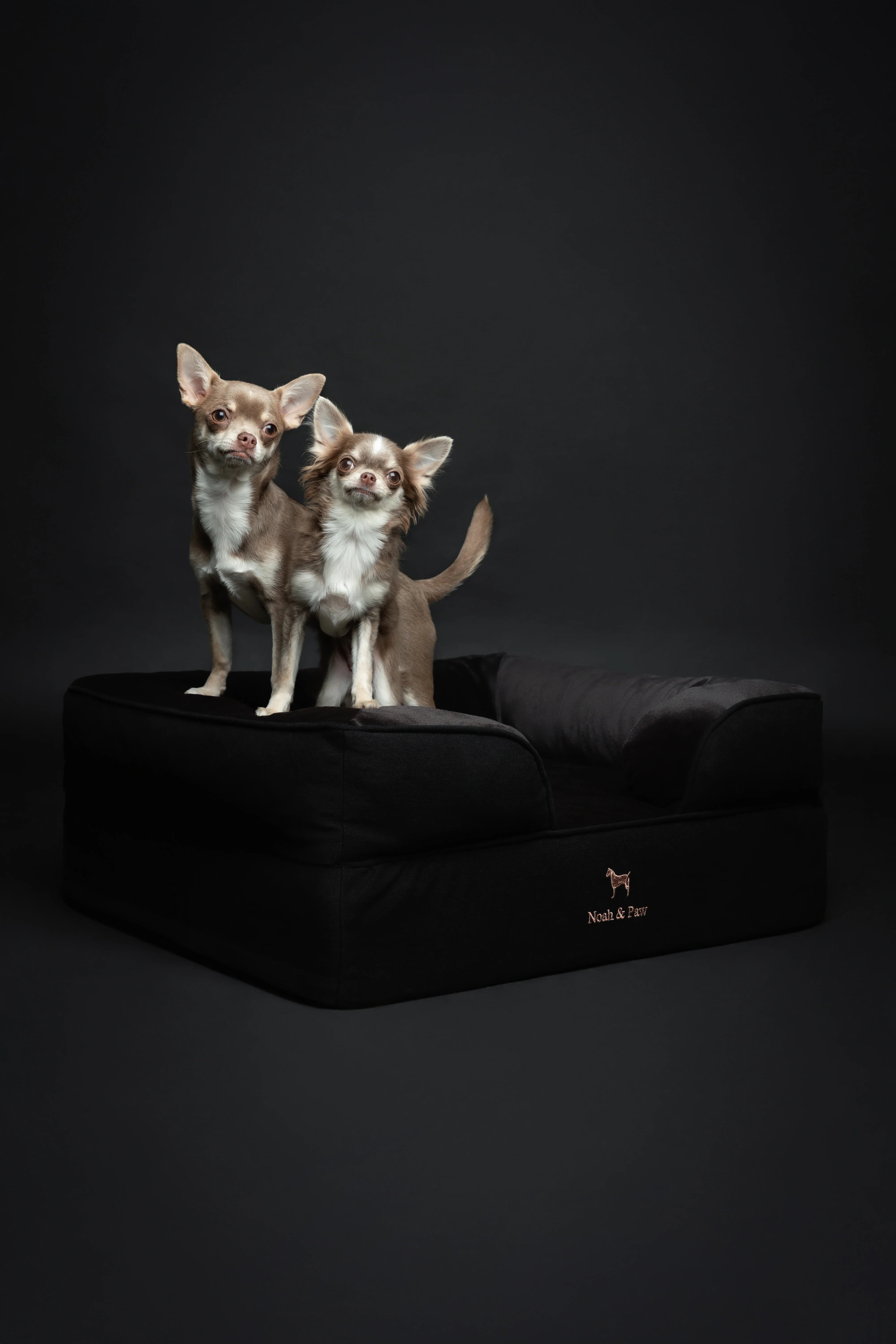 Denim Orthopedic Pet Bed, Memory Foam, Infused with Cooling Gel