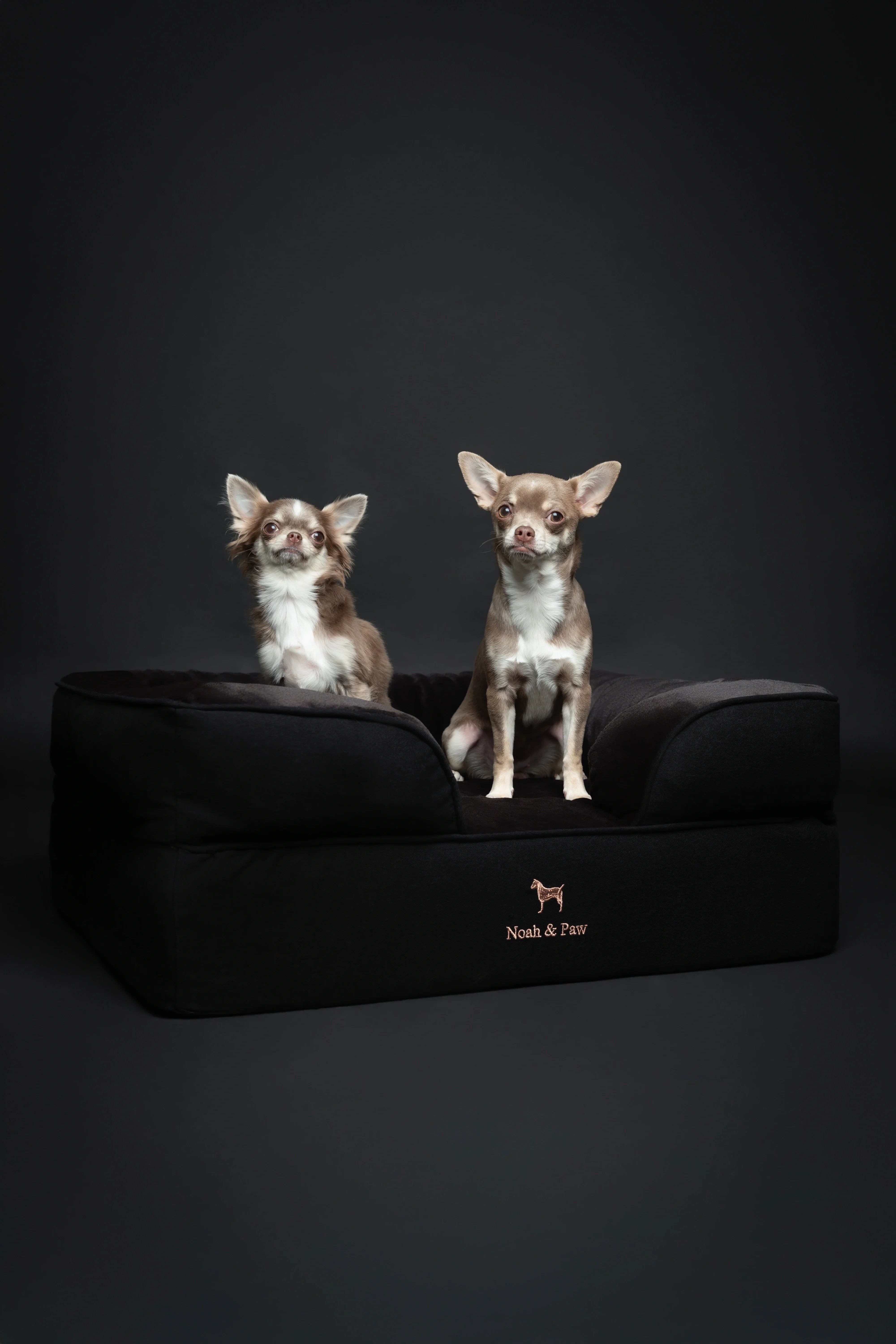 Denim Orthopedic Pet Bed, Memory Foam, Infused with Cooling Gel