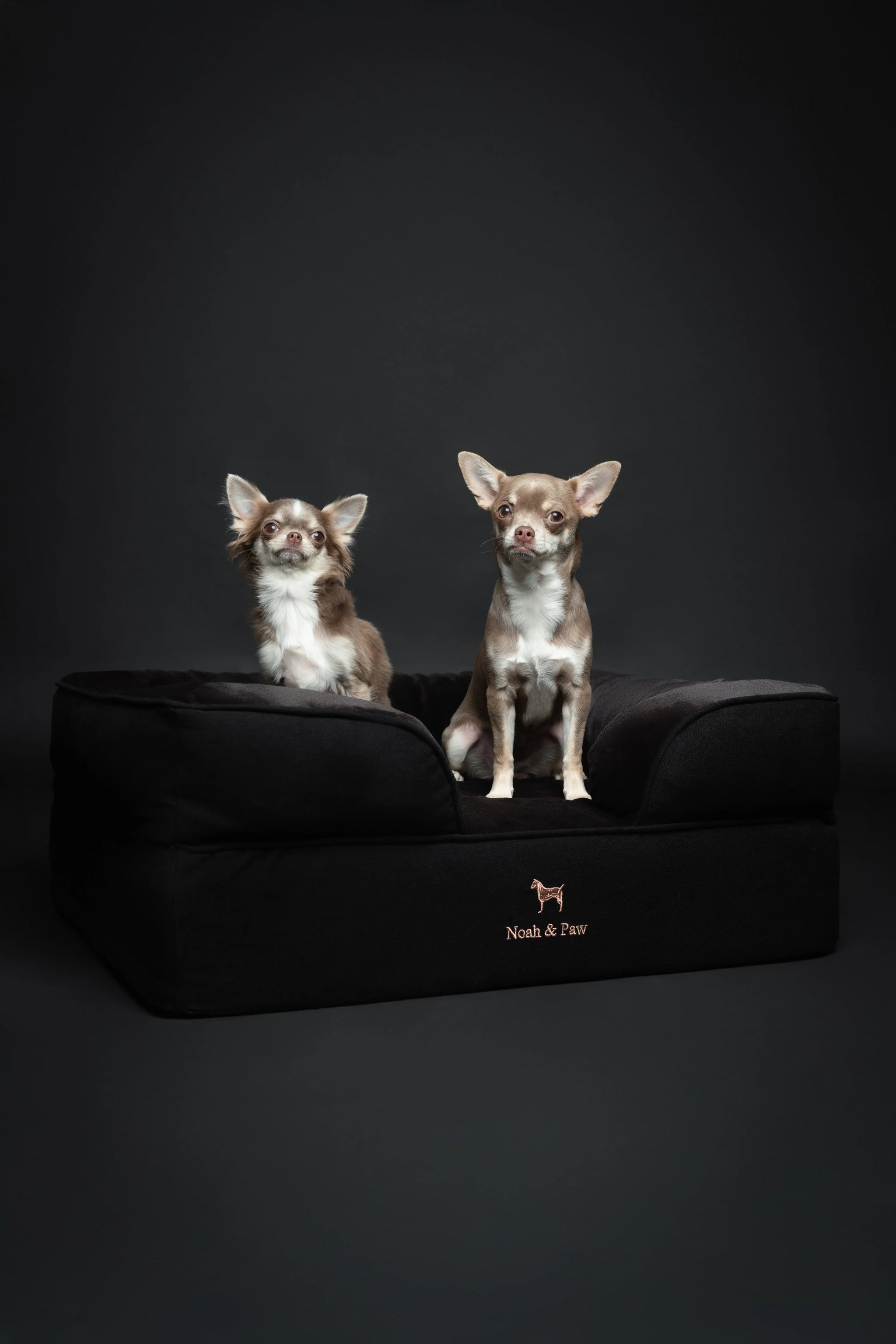 Denim Orthopedic Pet Bed, Memory Foam, Infused with Cooling Gel