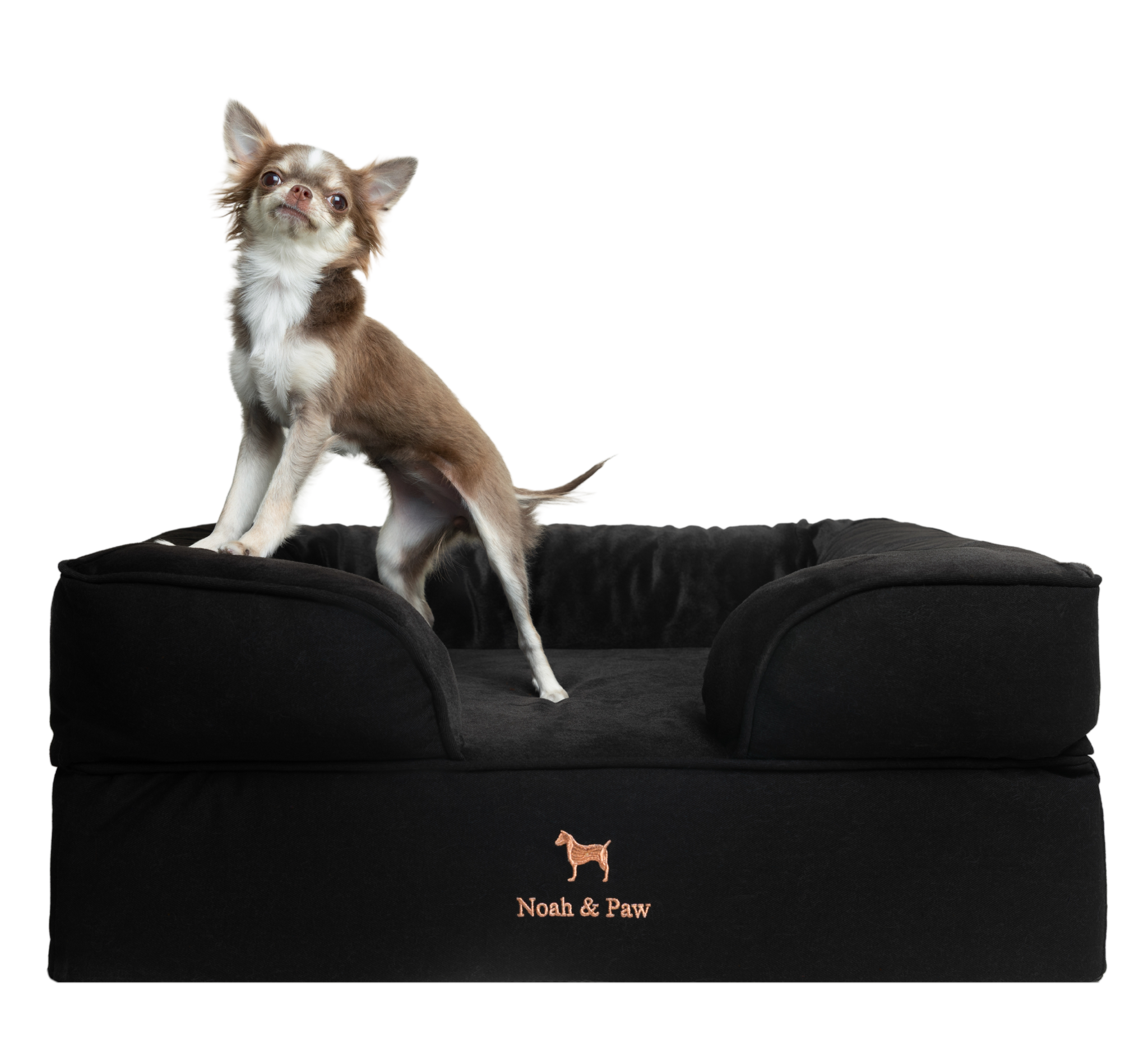 Denim, Orthopedic Pet Bed, Sofa Style - Black - M