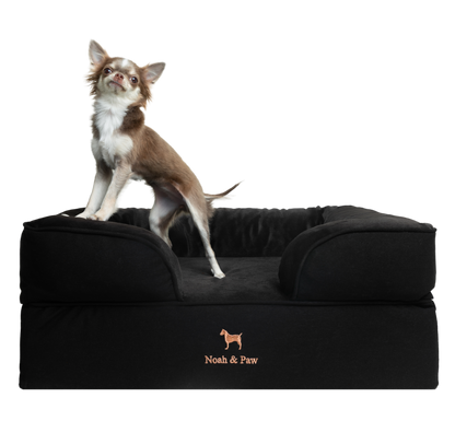 Denim, Orthopedic Pet Bed, Sofa Style - Black - M