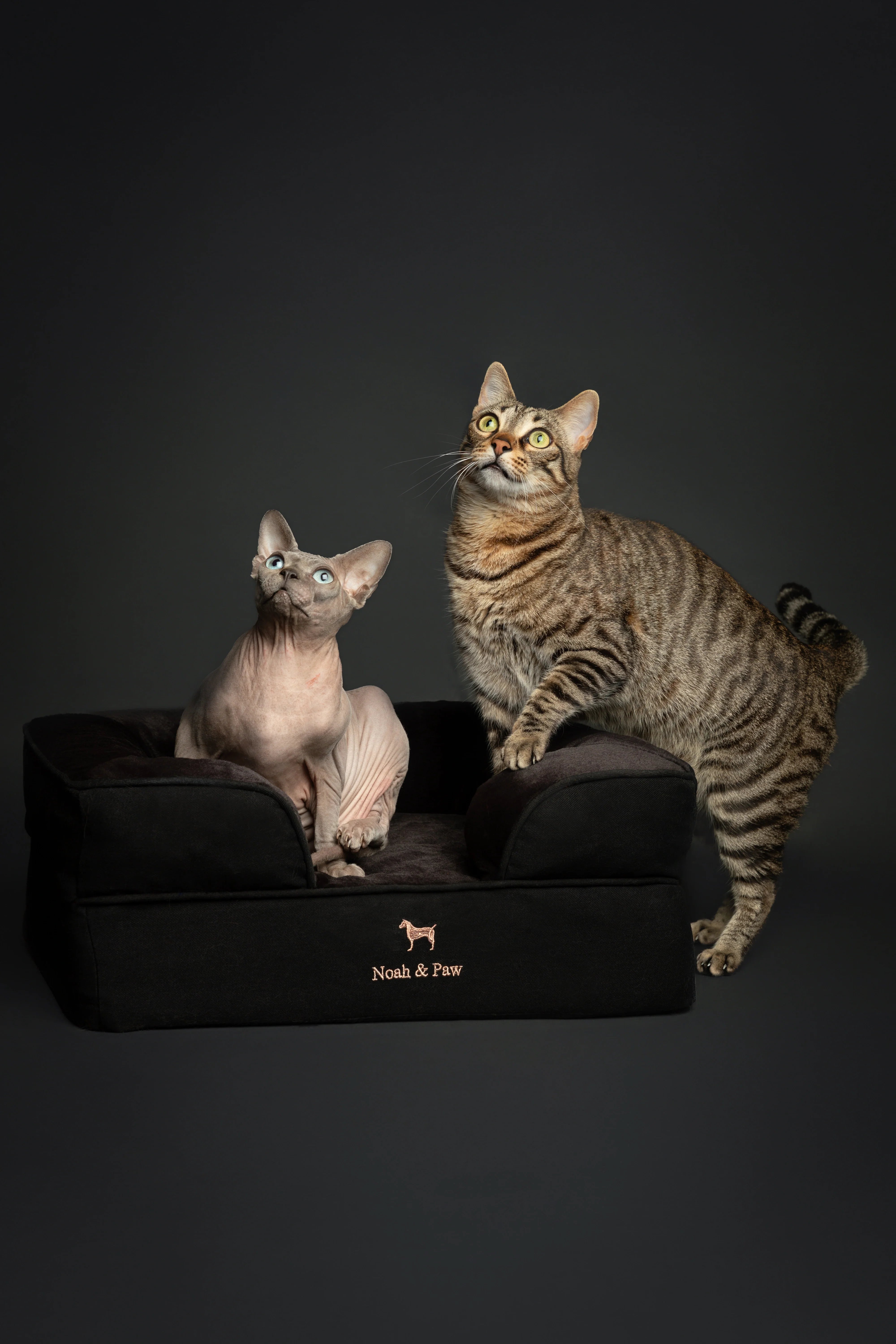 Denim Orthopedic Pet Bed, Memory Foam, Infused with Cooling Gel