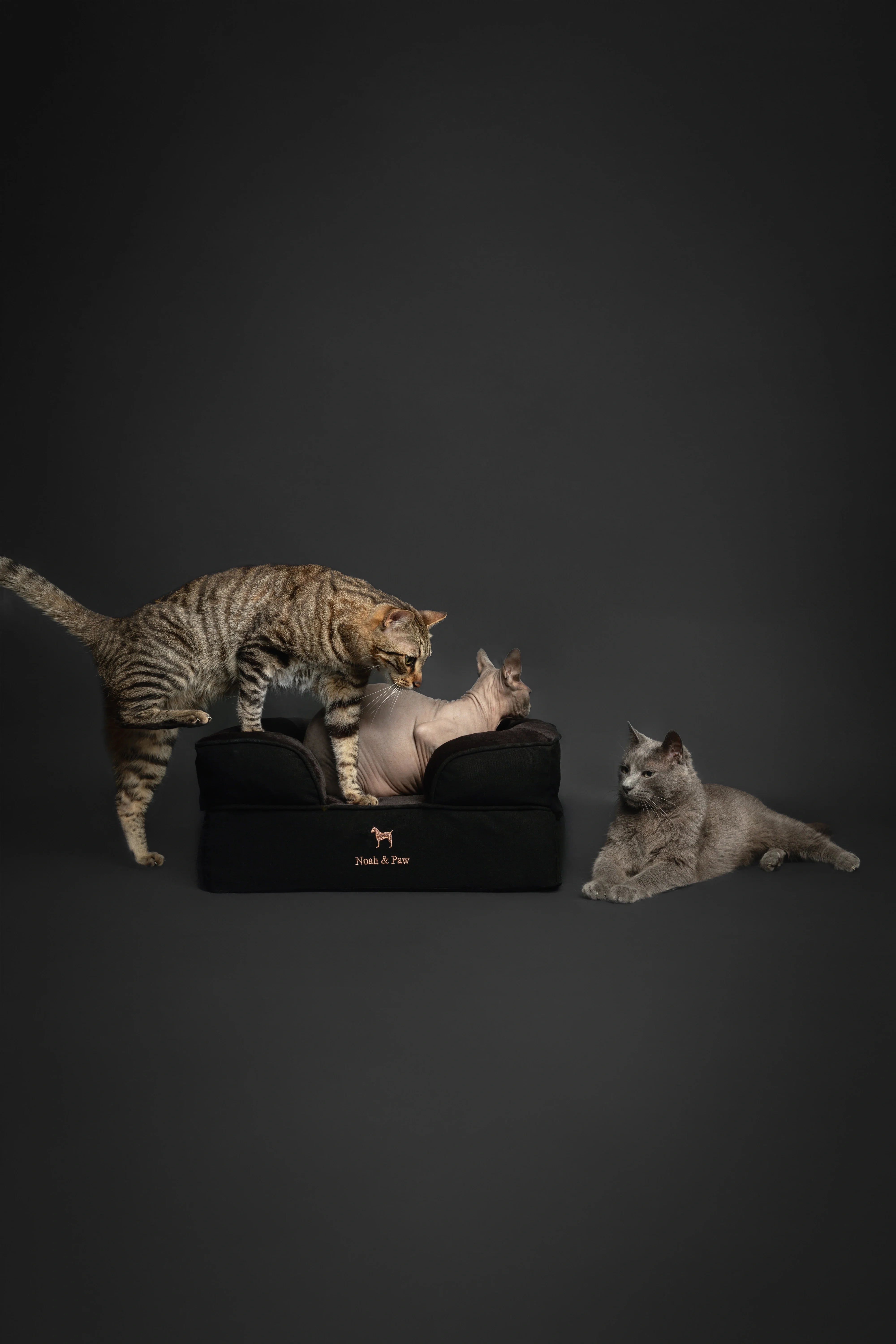 Denim Orthopedic Pet Bed, Memory Foam, Infused with Cooling Gel