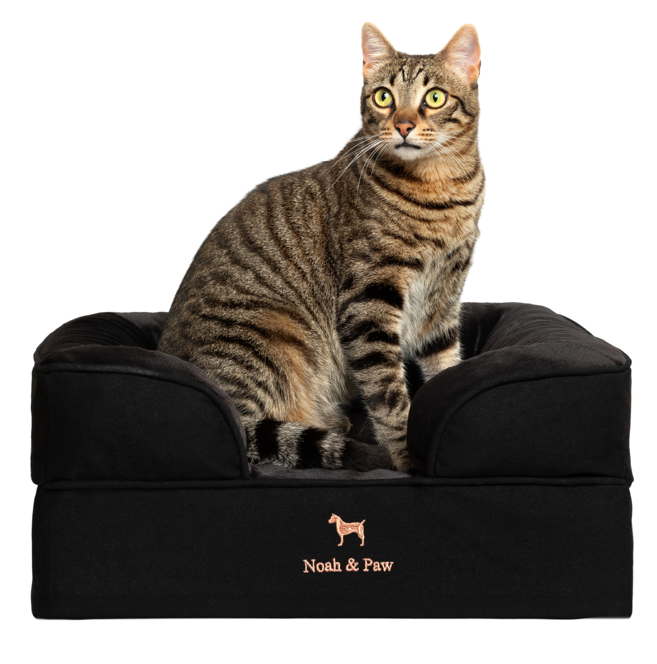 Denim, Orthopedic Pet Bed, Sofa Style - Black - S