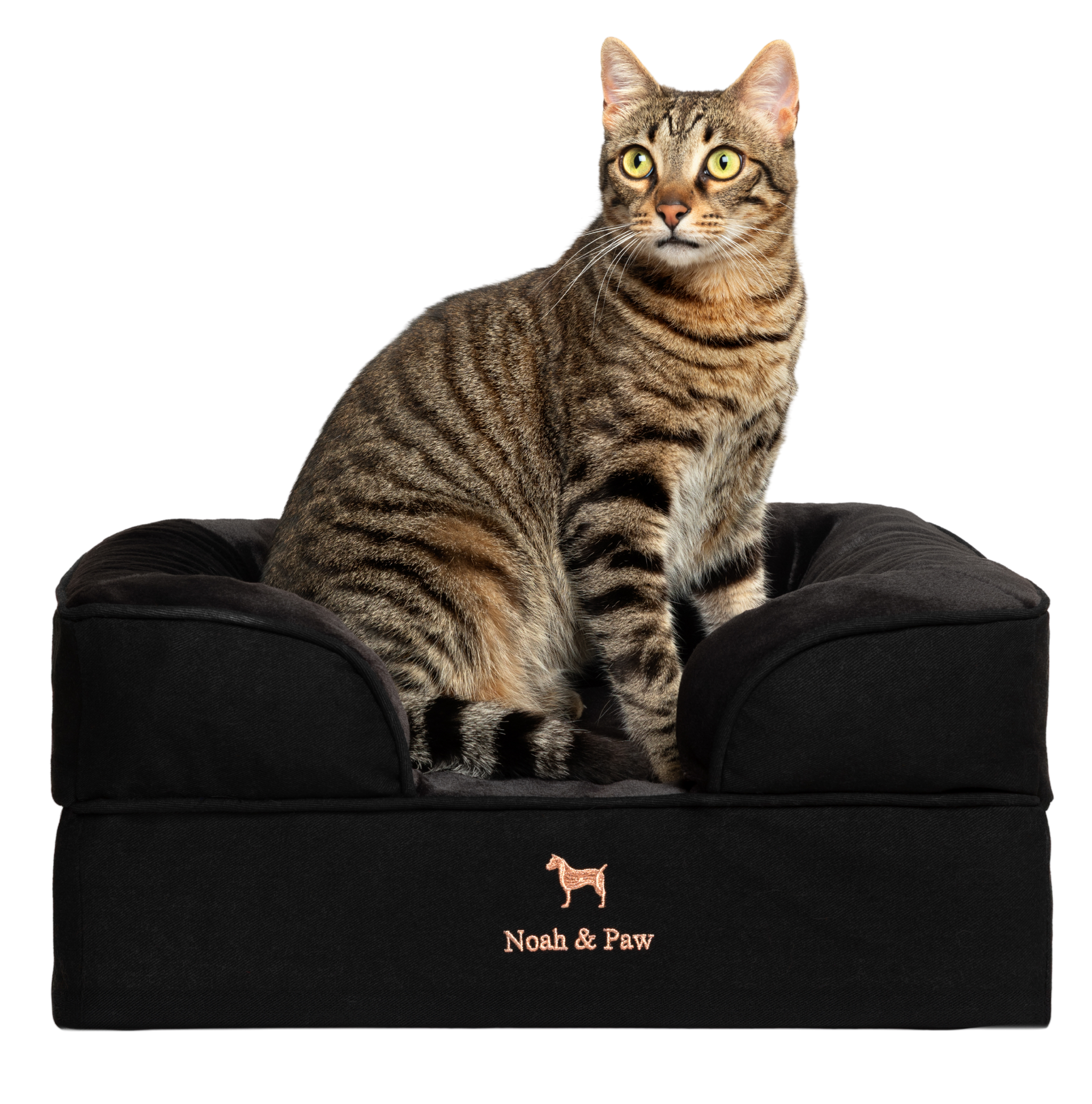 Denim, Orthopedic Pet Bed, Sofa Style - Black - S