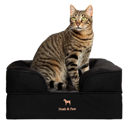 Denim, Orthopedic Pet Bed, Sofa Style - Black - S