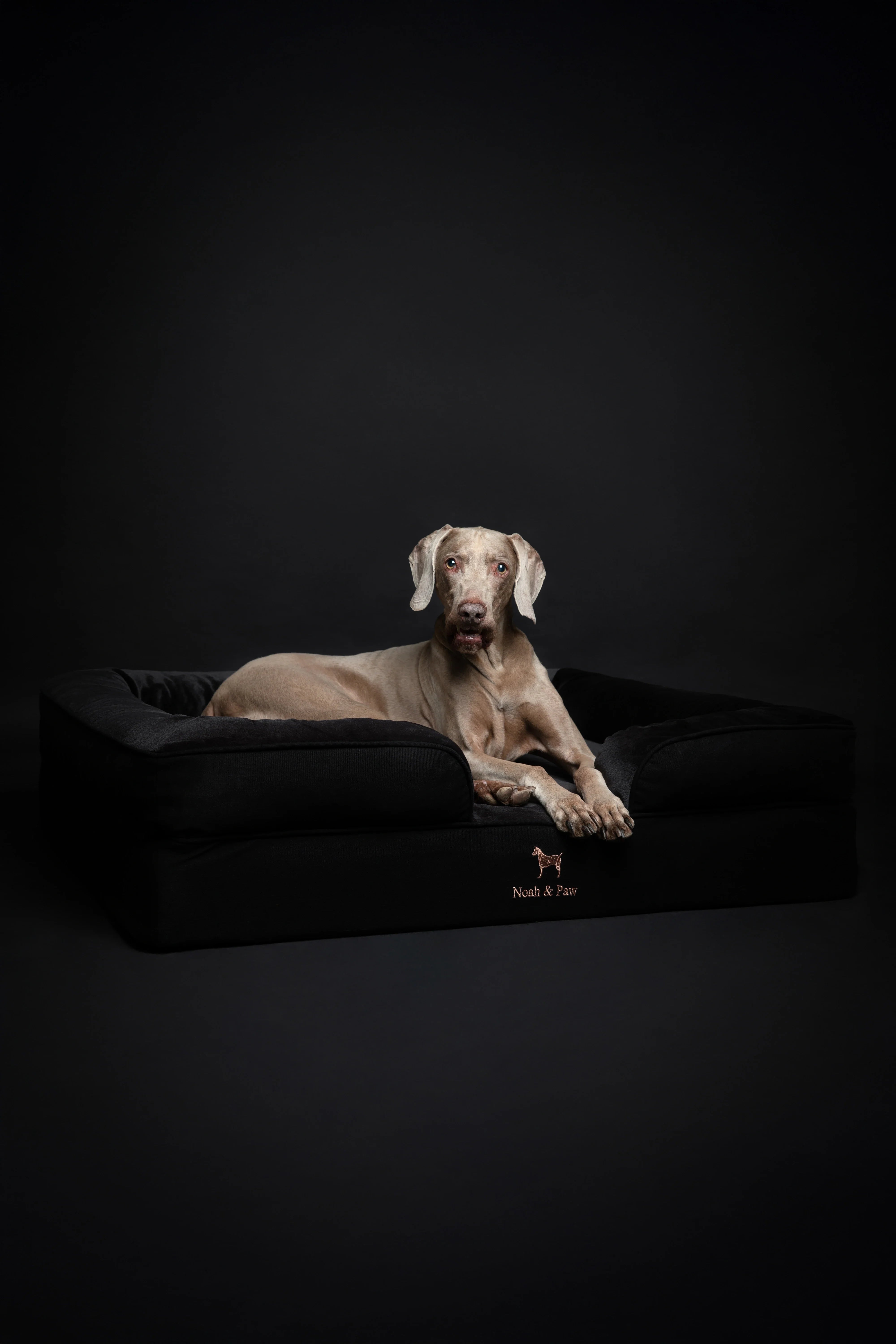 Denim Orthopedic Pet Bed, Memory Foam, Infused with Cooling Gel