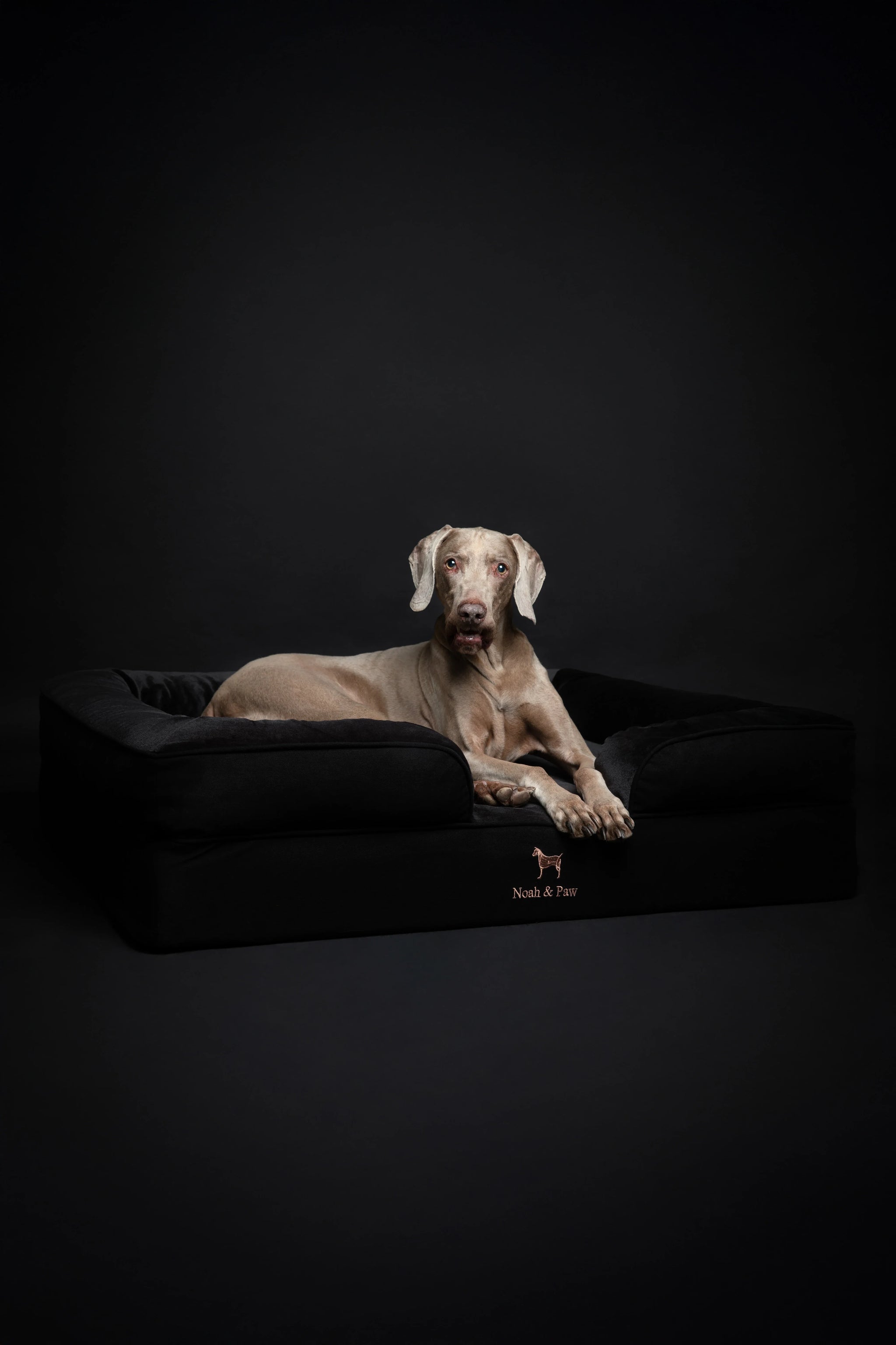 Denim Orthopedic Pet Bed, Memory Foam, Infused with Cooling Gel
