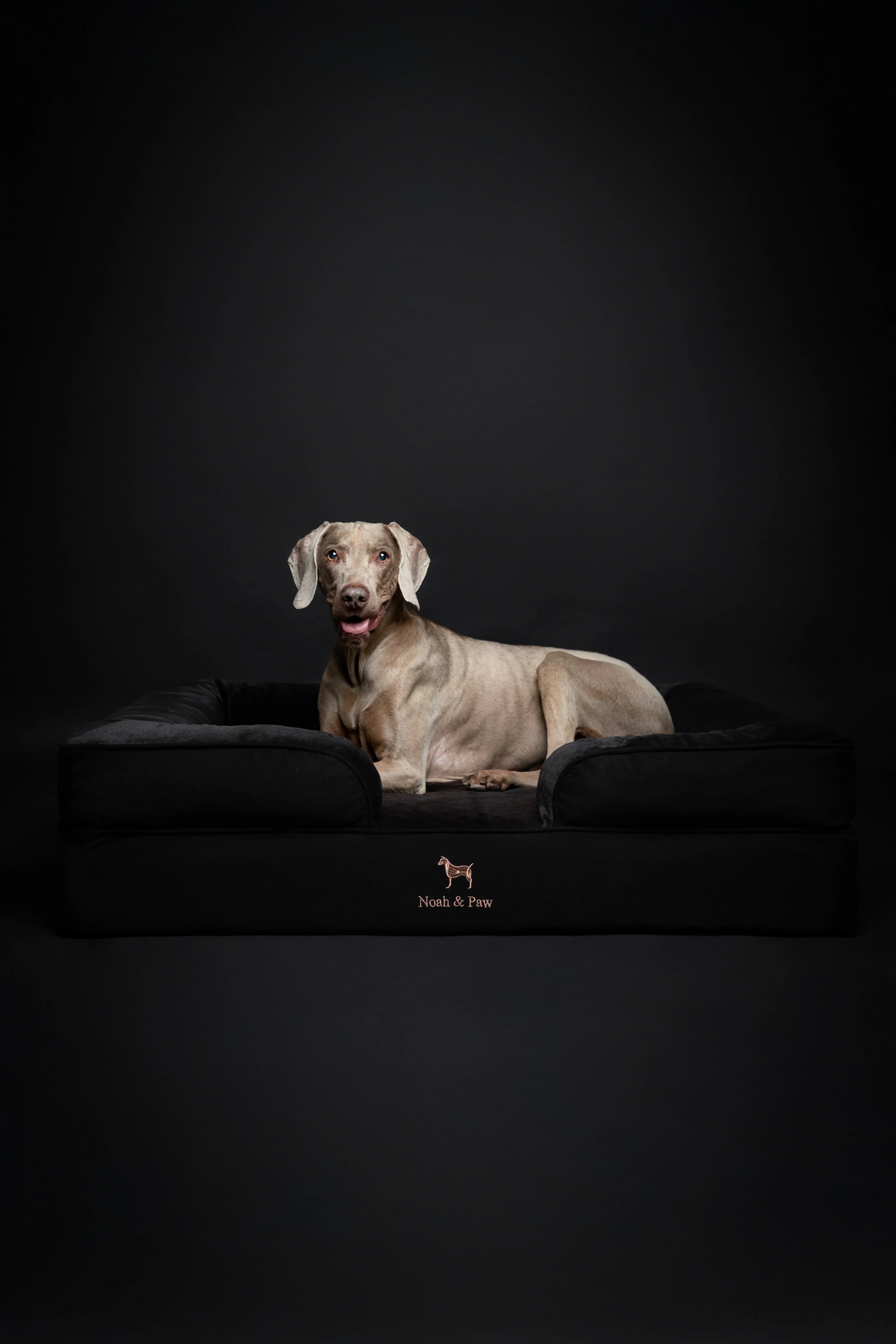 Denim Orthopedic Pet Bed, Memory Foam, Infused with Cooling Gel