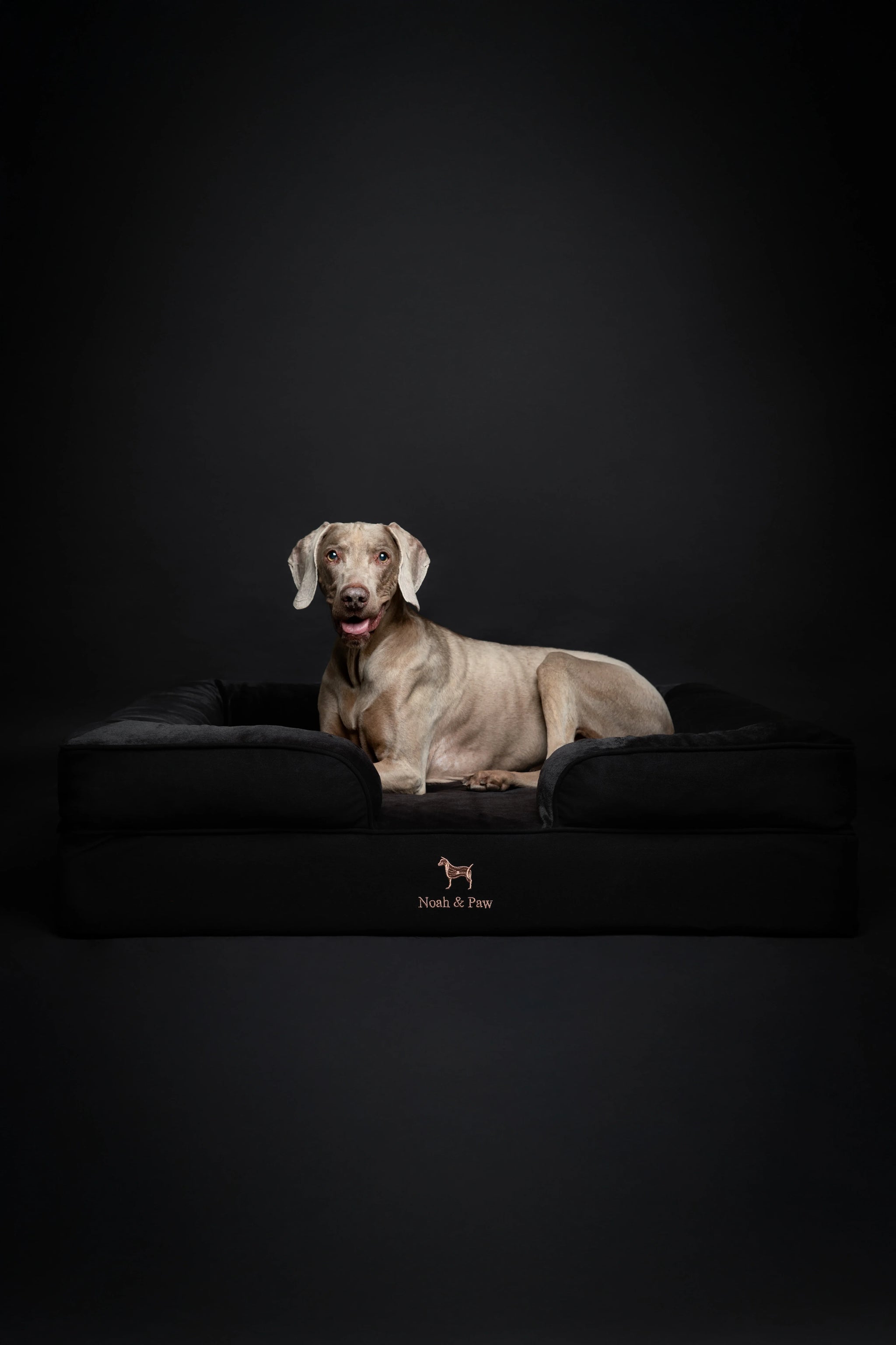 Denim Orthopedic Pet Bed, Memory Foam, Infused with Cooling Gel