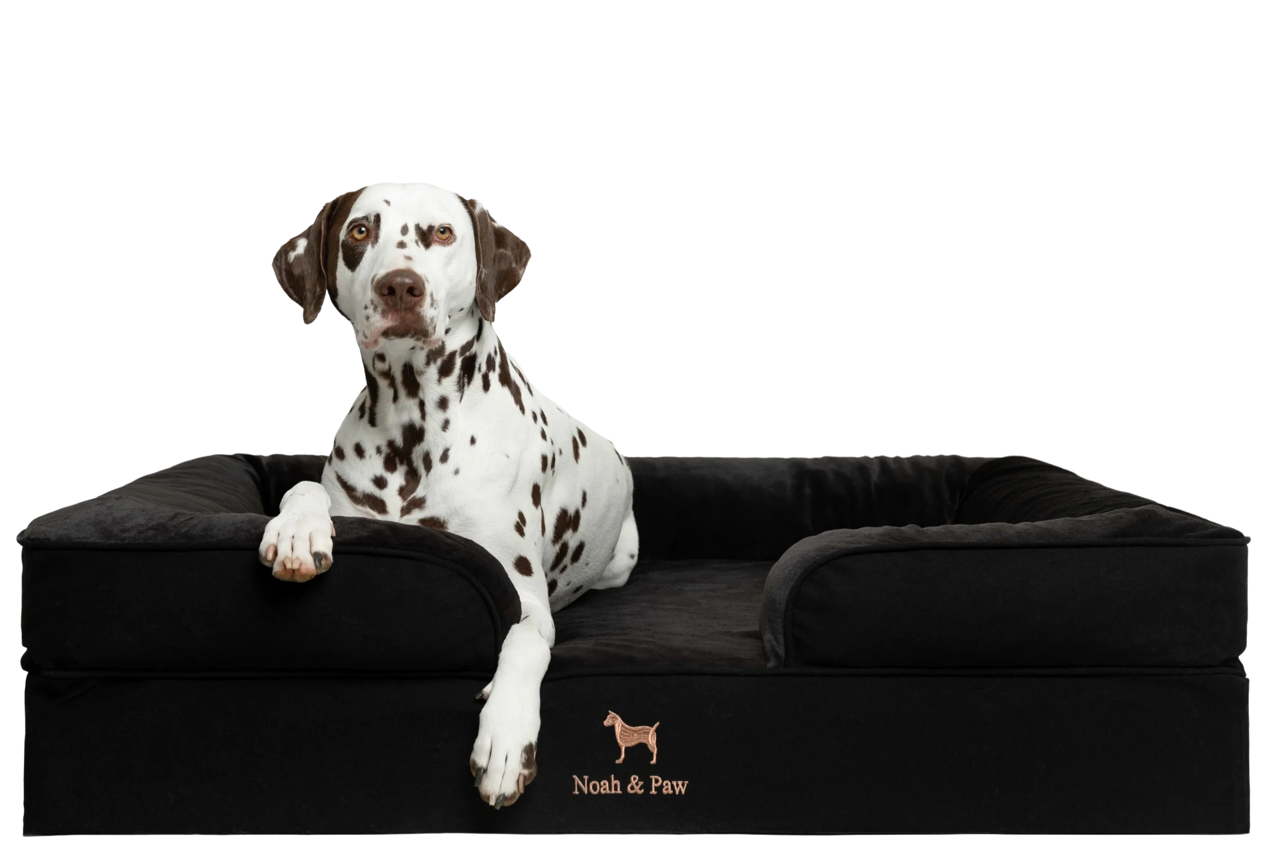 Denim, Orthopedic Pet Bed, Sofa Style - Black - XL