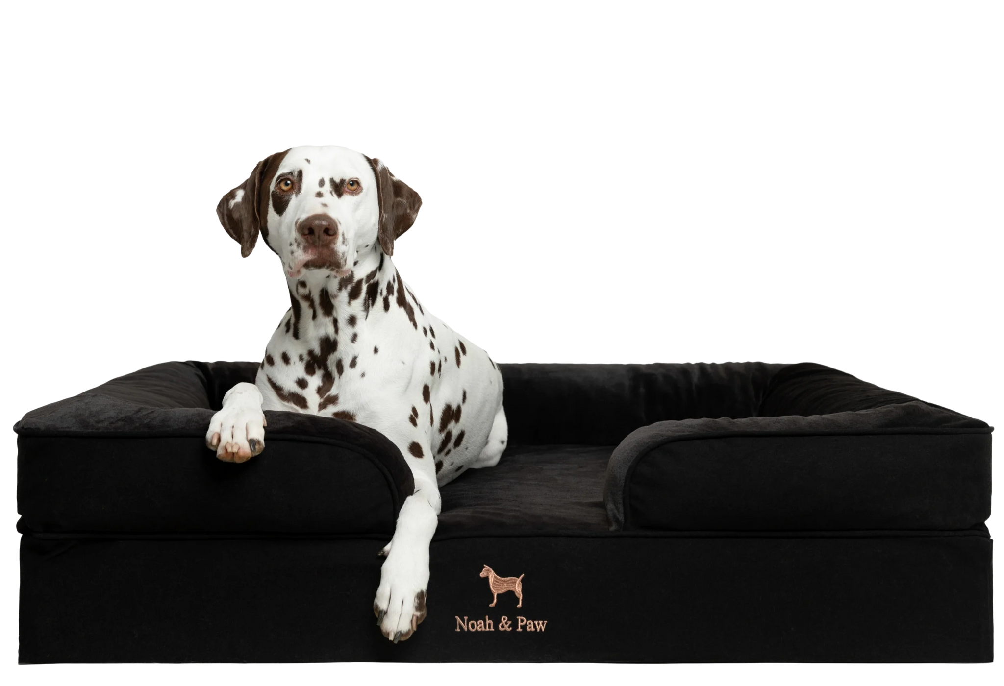 Denim, Orthopedic Pet Bed, Sofa Style - Black - XL