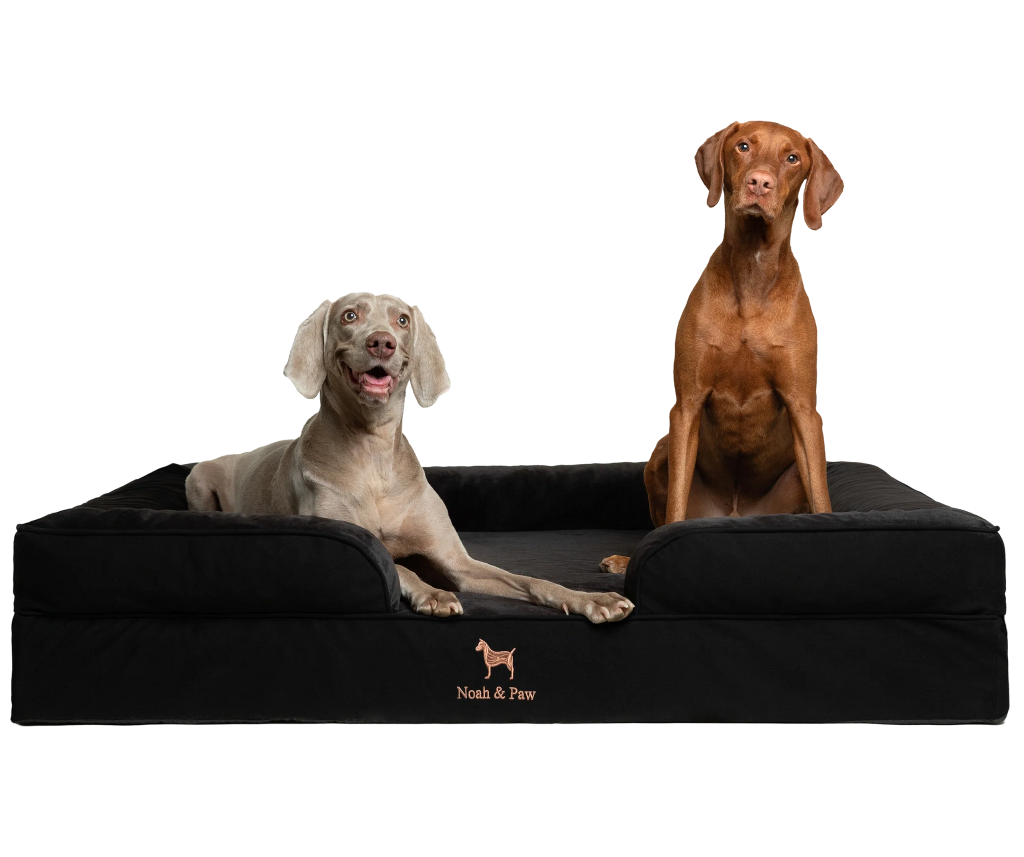 Denim, Orthopedic Pet Bed, Sofa Style - Black - XXL