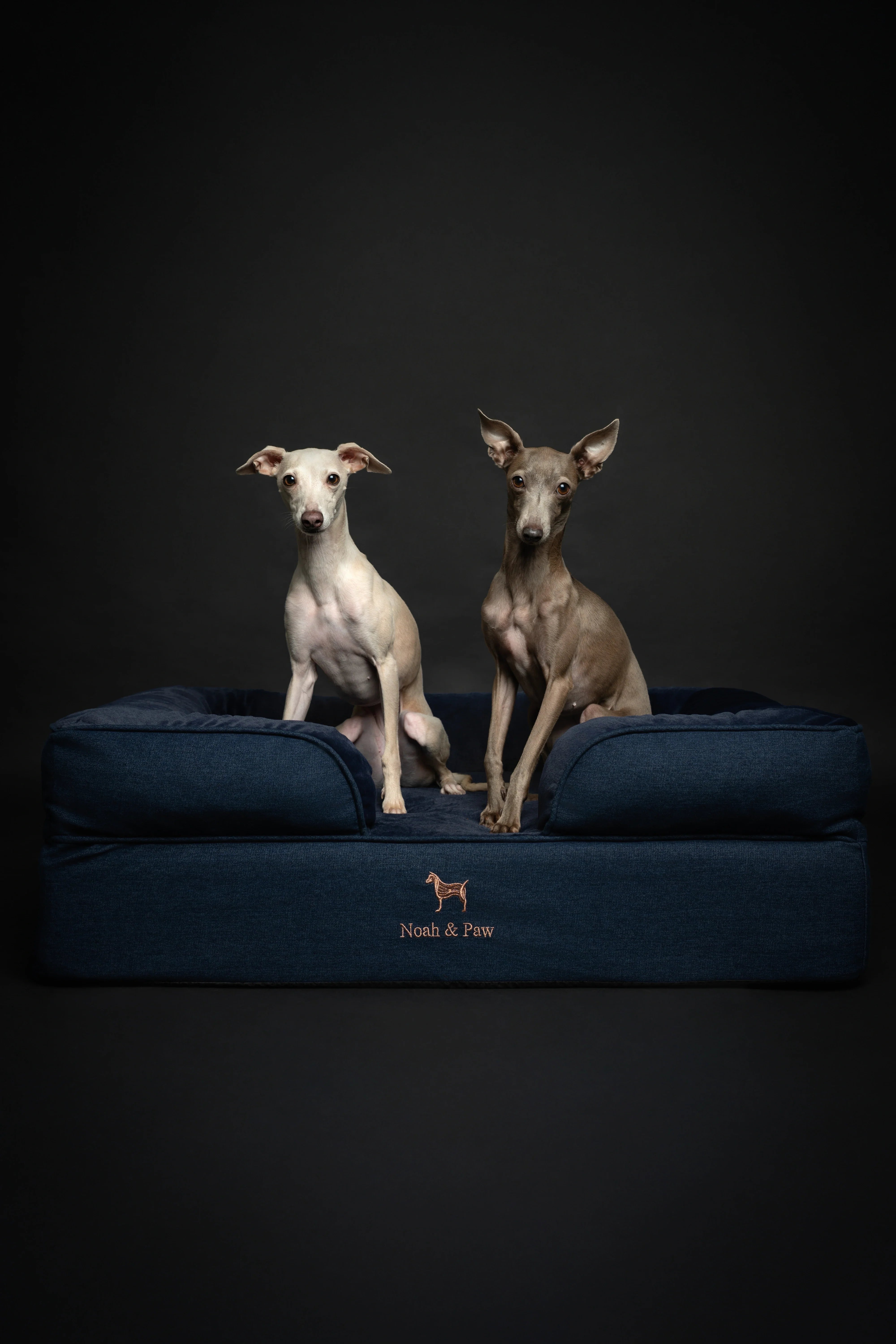 Denim Orthopedic Pet Bed, Memory Foam, Infused with Cooling Gel