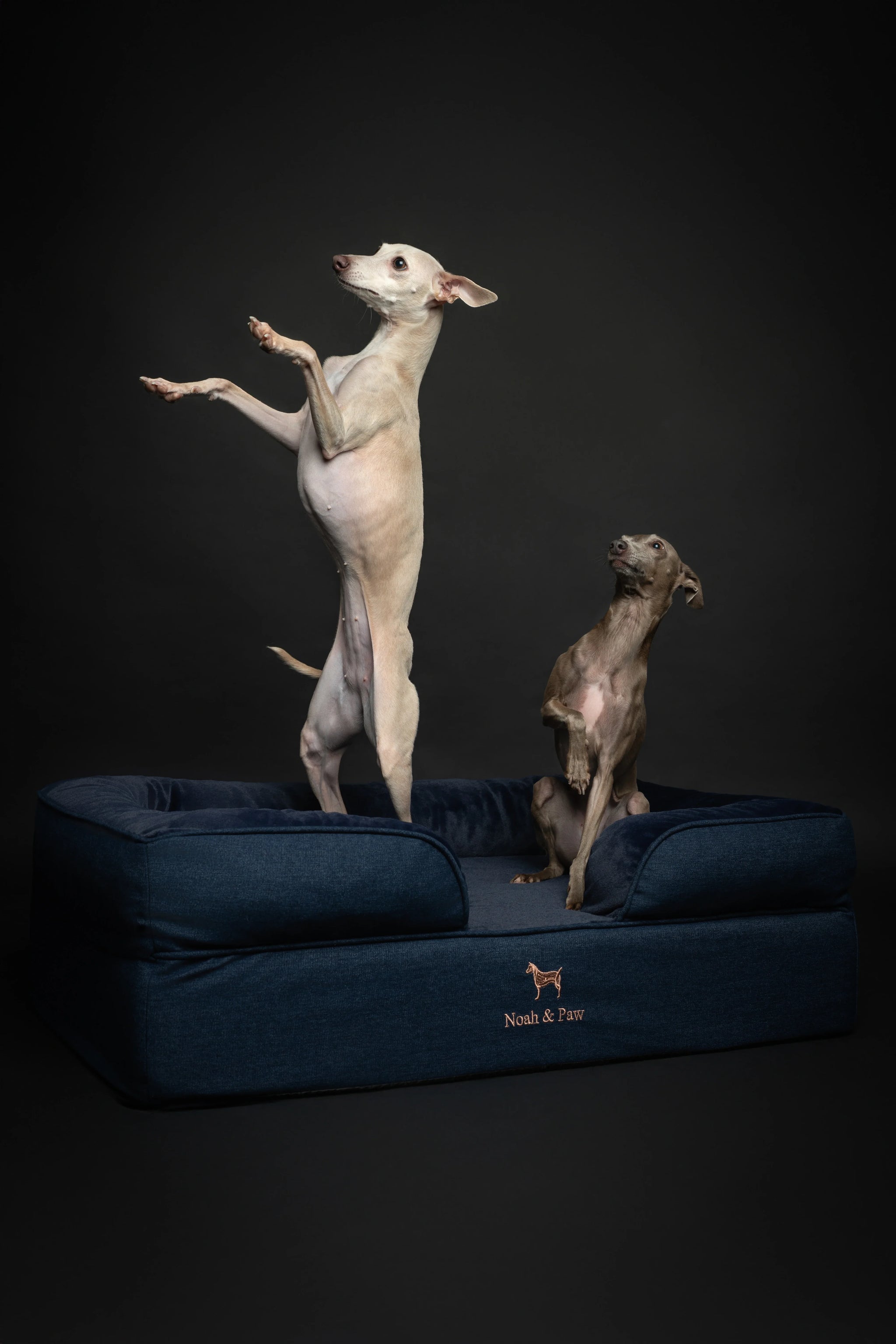 Denim Orthopedic Pet Bed, Memory Foam, Infused with Cooling Gel