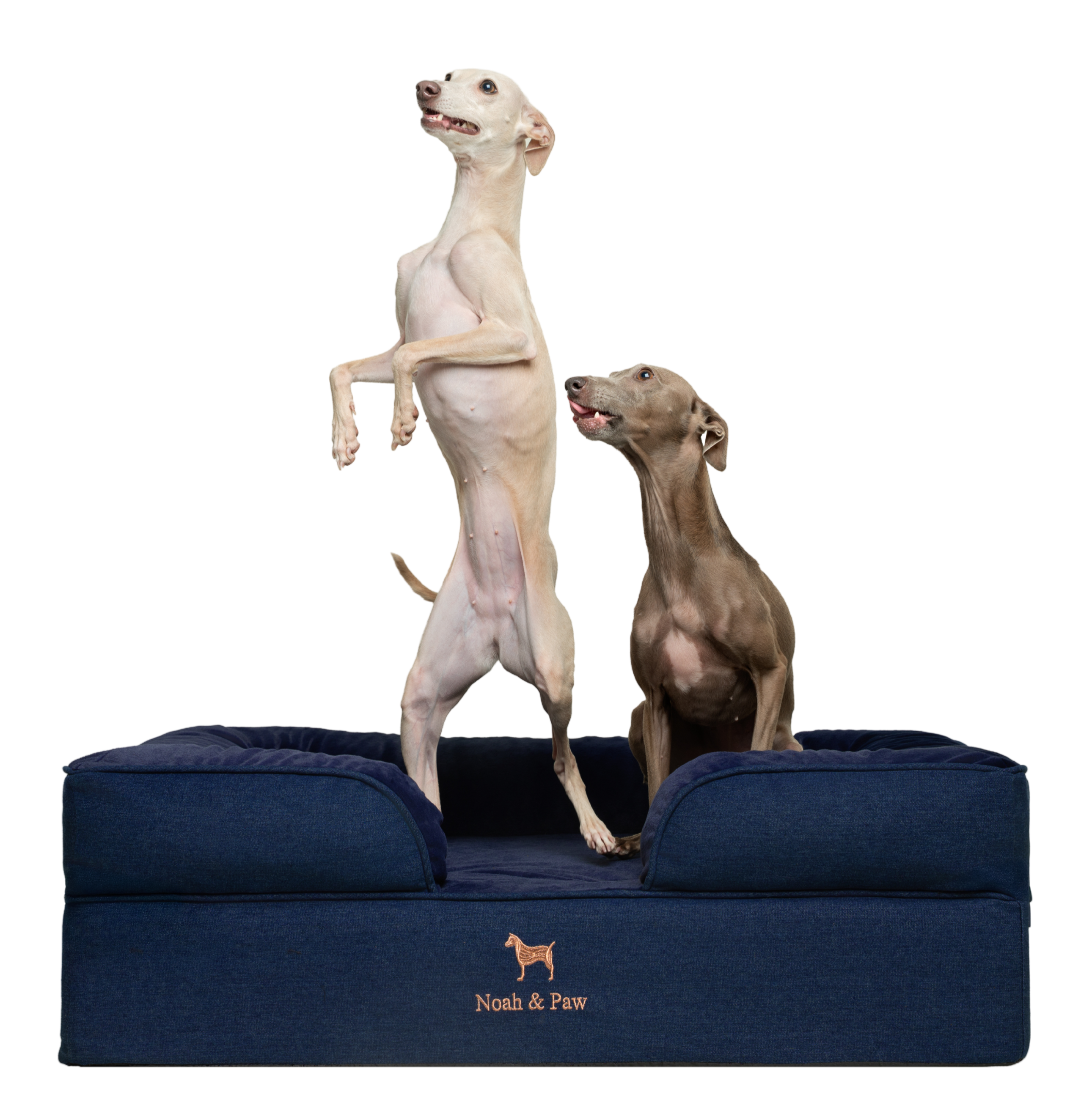 Denim, Orthopedic Pet Bed, Sofa Style - Dark Blue - L